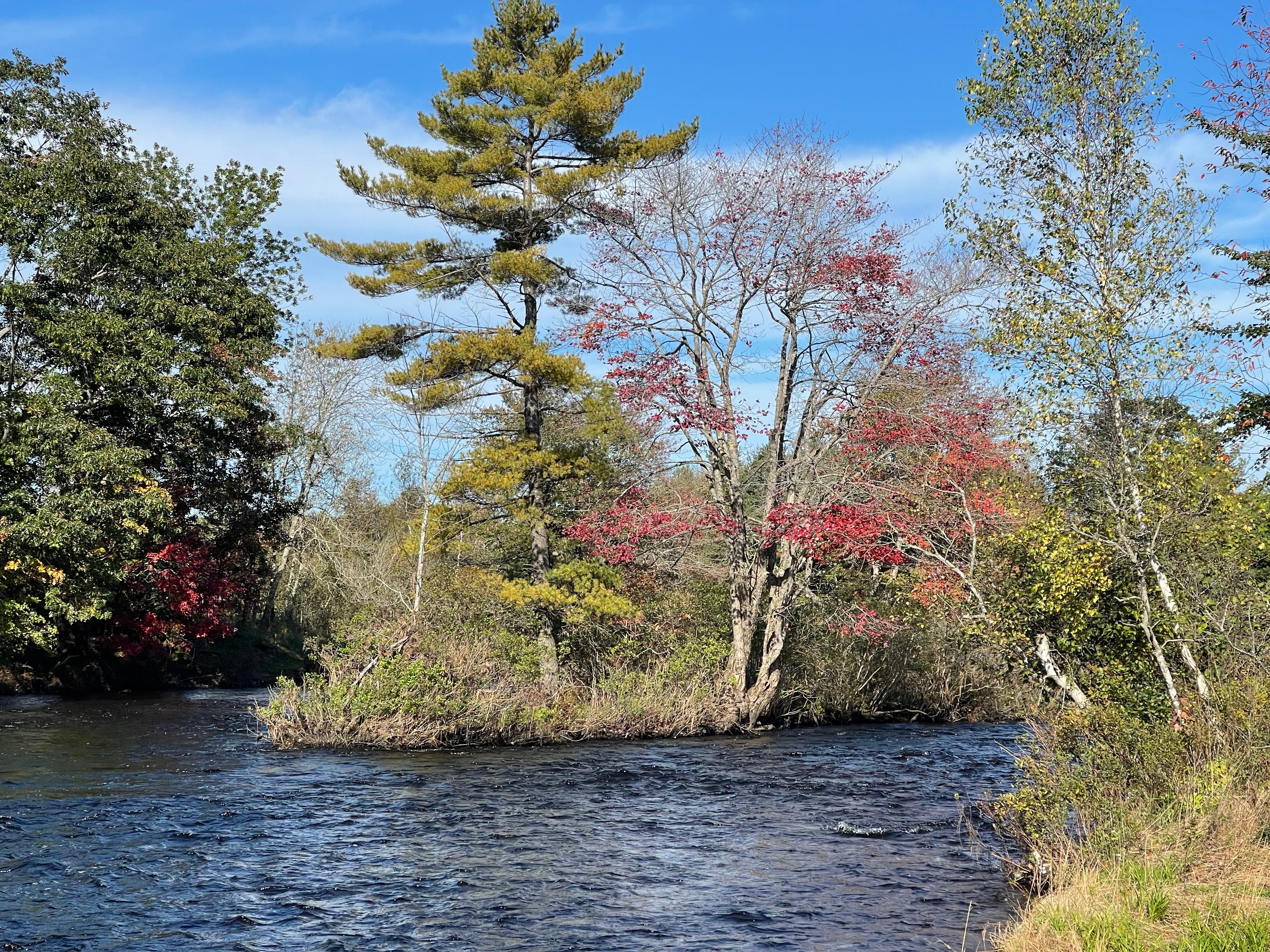 Carolyn Talks 6th chapter of the gospel of John( NKJV)