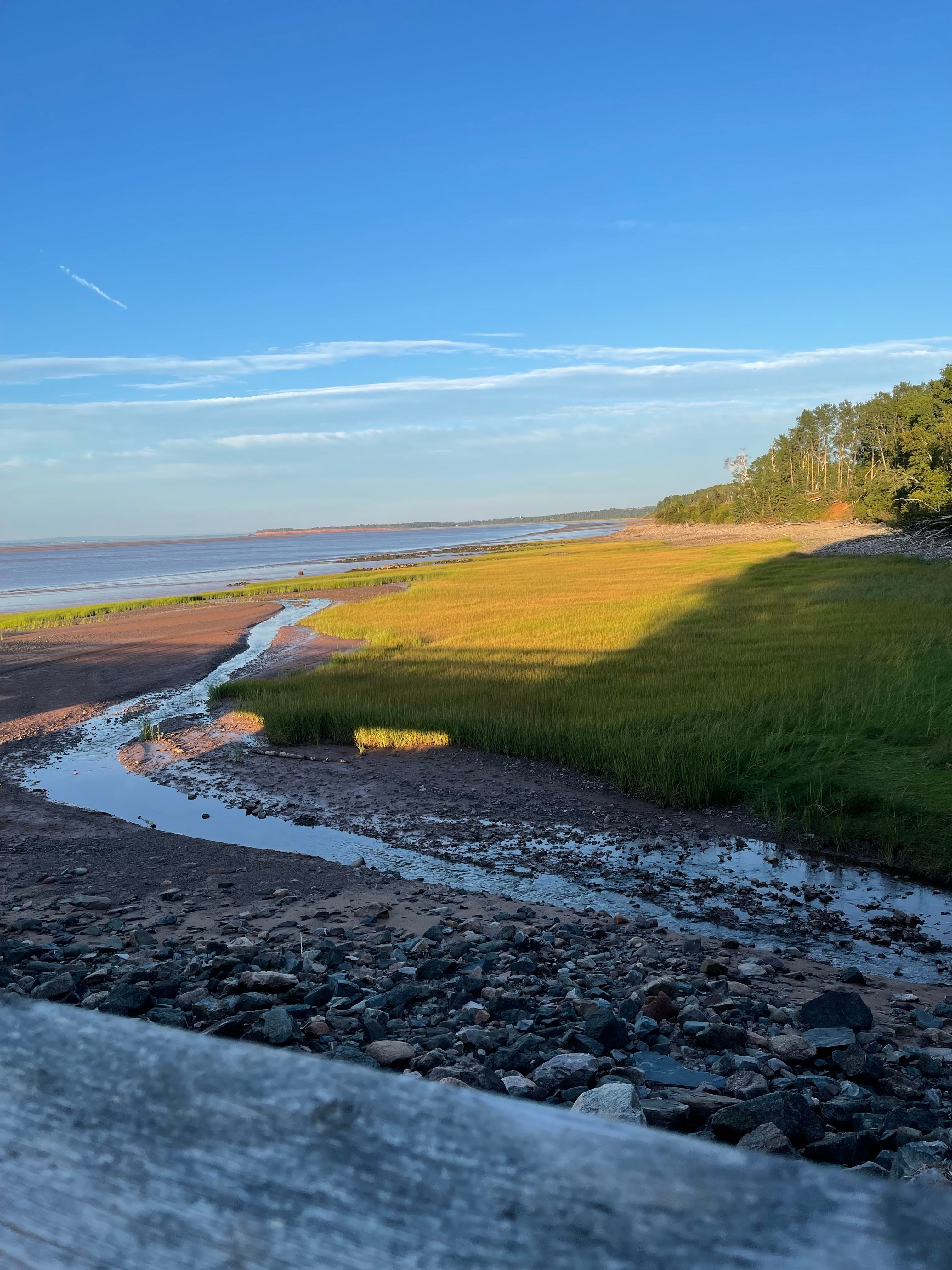 Carolyn Talks 6th chapter of the gospel of John( NKJV)