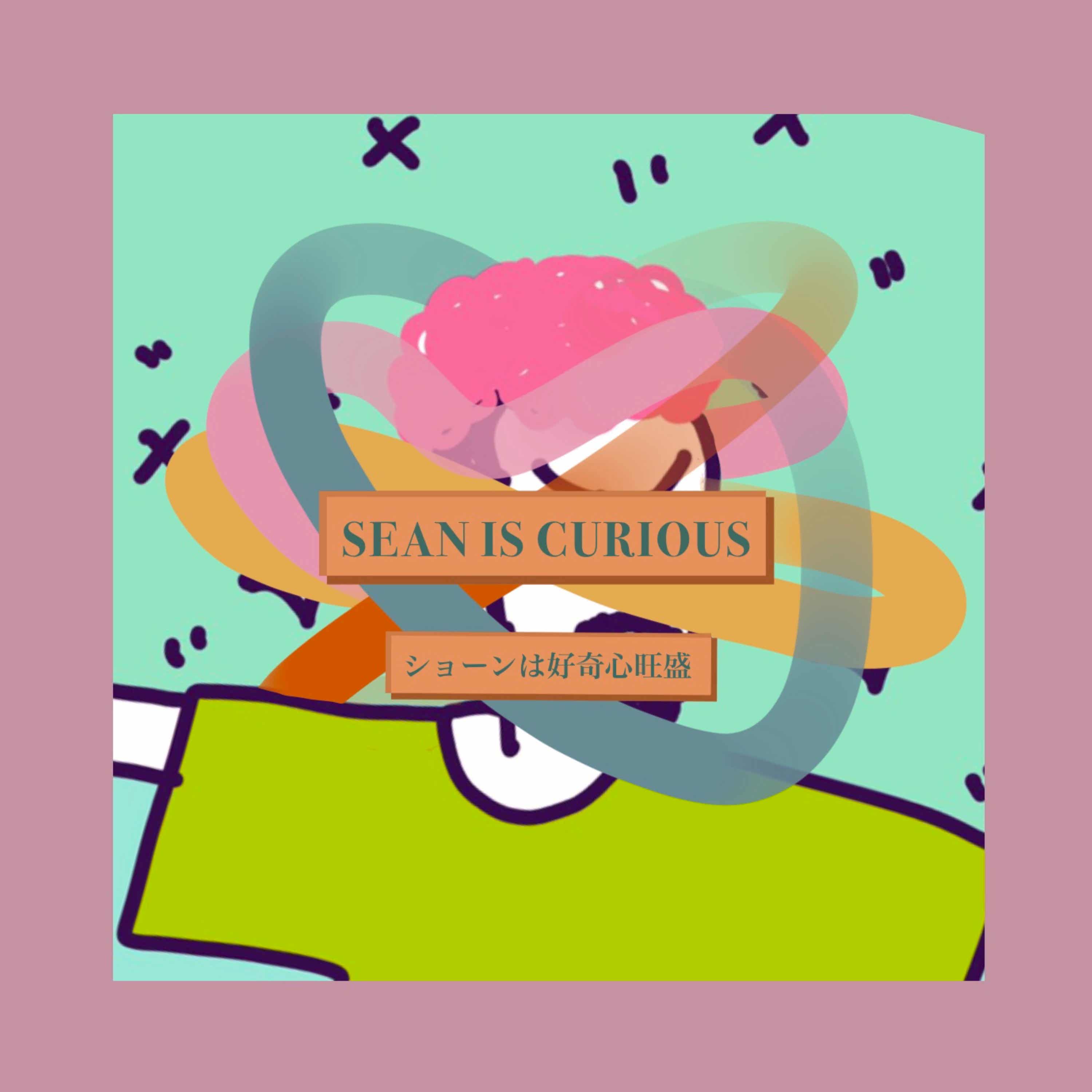 sean is curious しょーんは好奇心旺盛