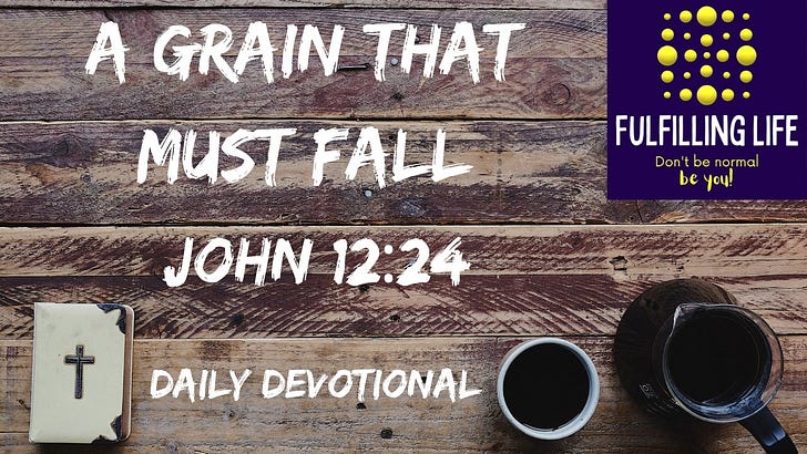 Dying to Bear Fruit - John 12:24 episode artwork