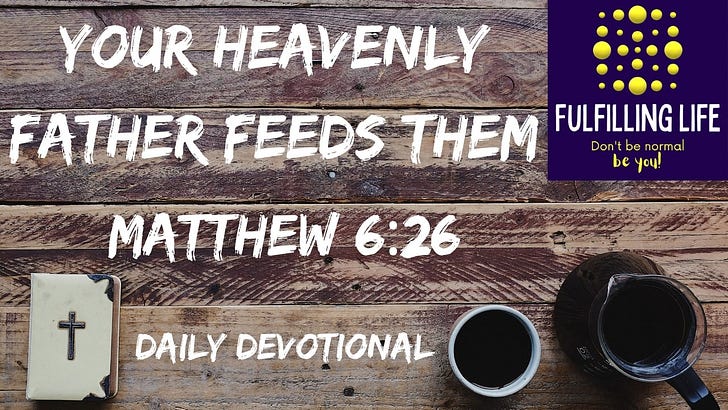 When Anxiety About Tomorrow Takes Over - Matthew 6:26 episode artwork