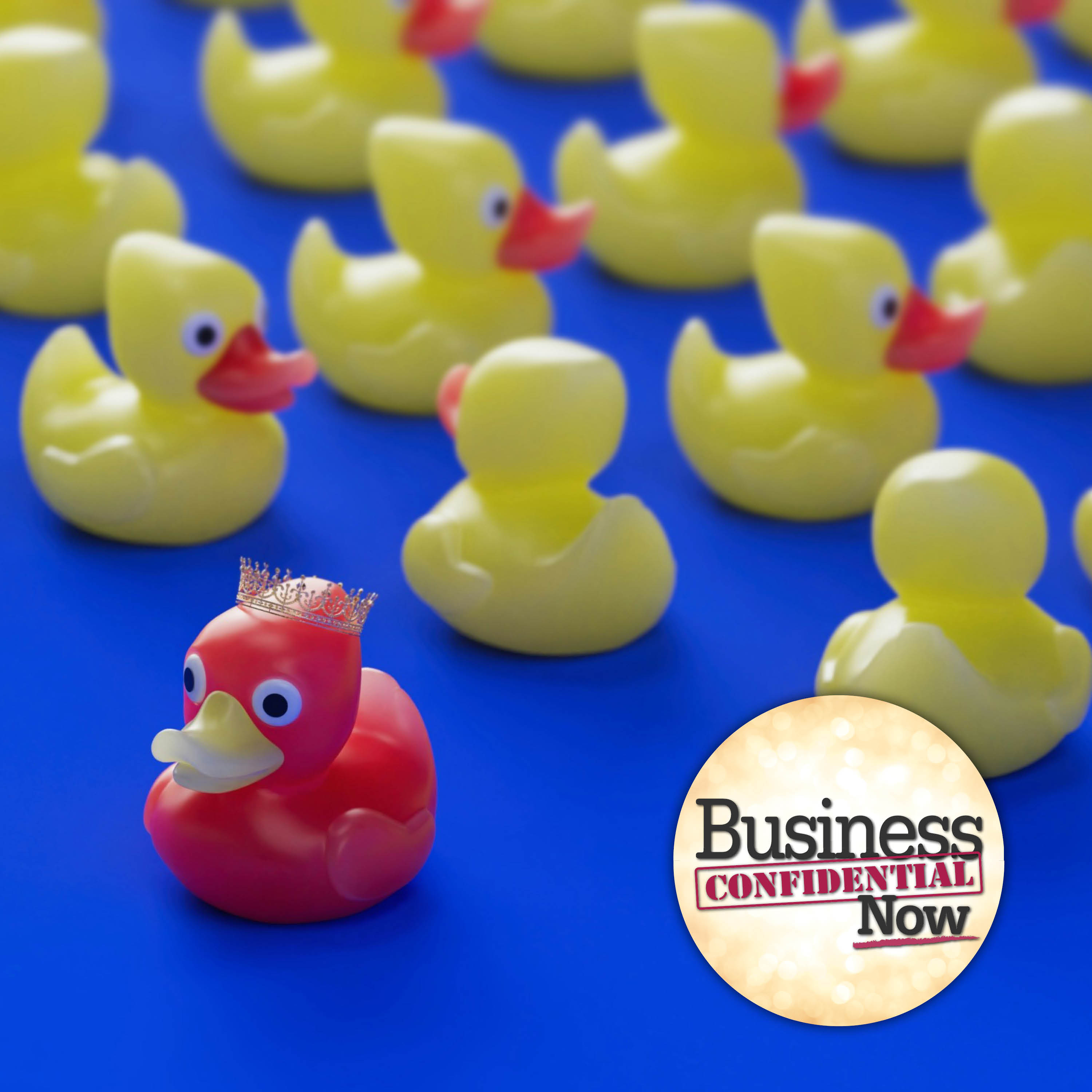Why Updated Communication Skills are Essential to More Business Success with Dianne Chase episode artwork