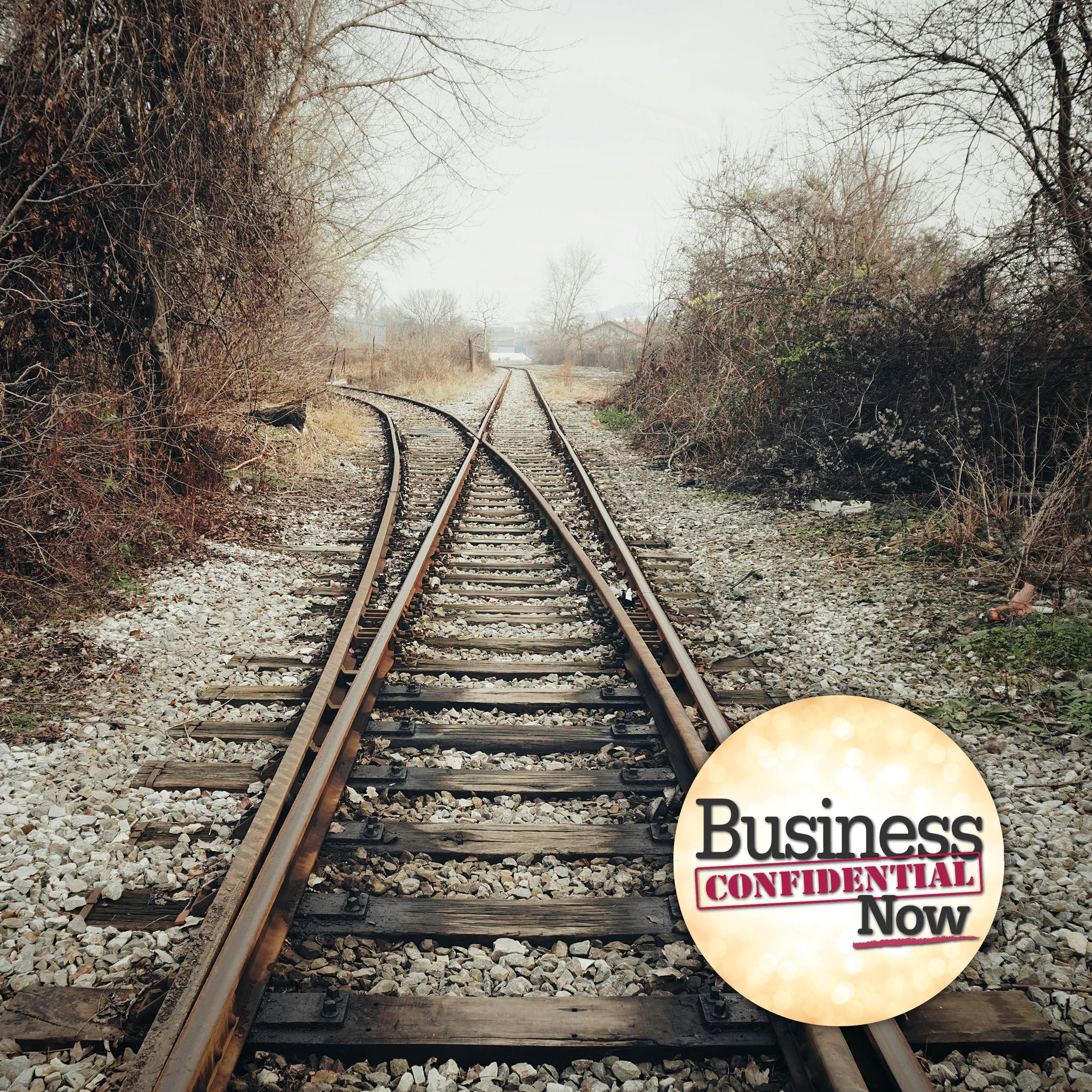 What Every Smart Manager Needs to Know About Ethical Leadership with Rick Swegan episode artwork