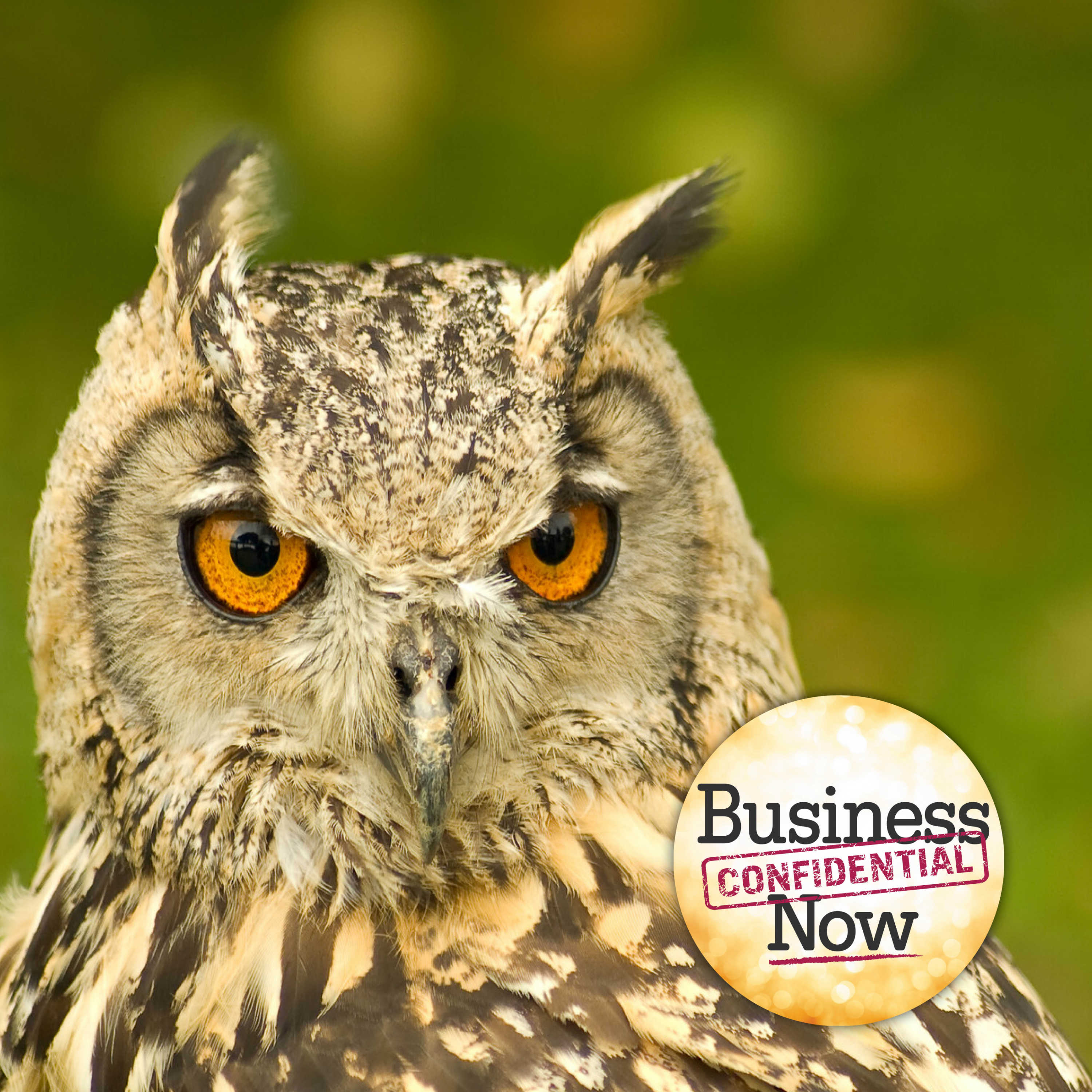 Business Confidential Now with Hanna Hasl-Kelchner