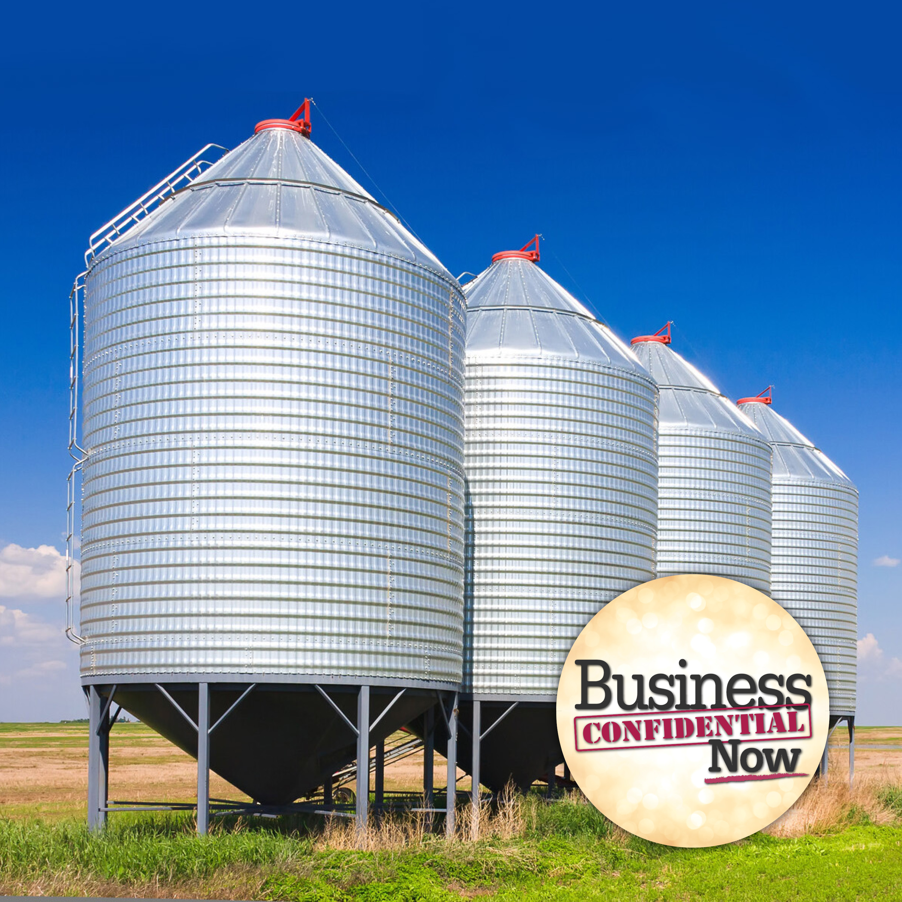 Why Leaders Need to Beware of the Silo Effect with Sarah Siwak episode artwork