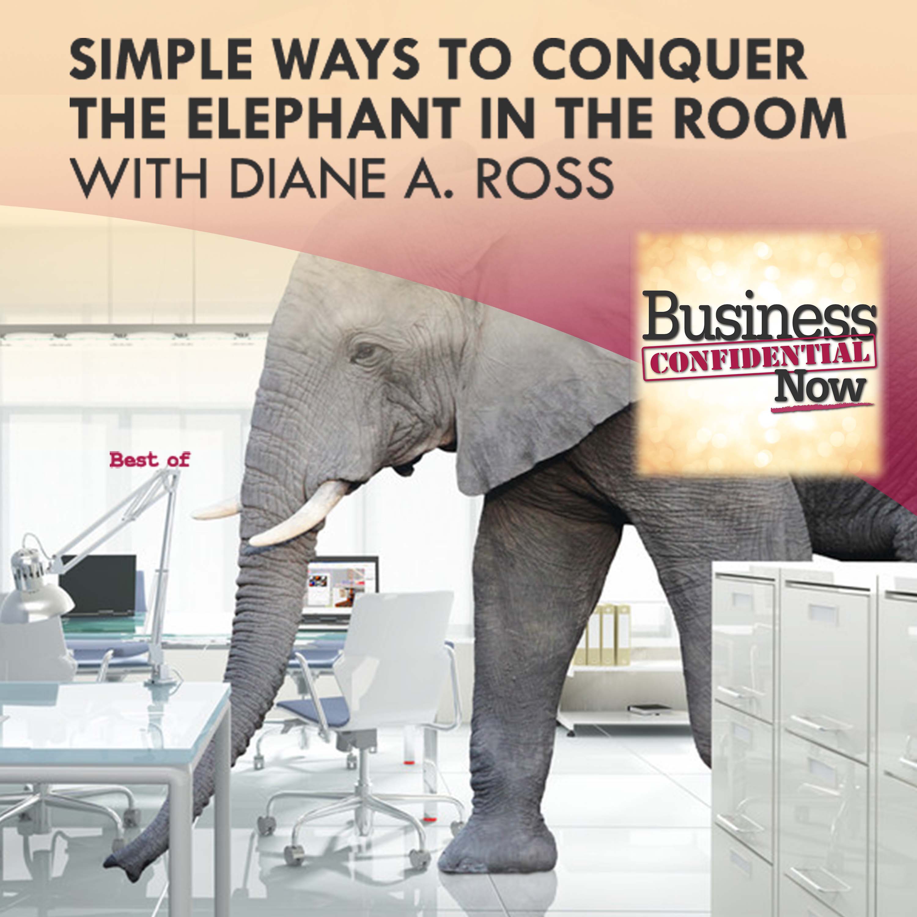 Simple Ways To Conquer The Elephant In The Room With Diane A. Ross episode artwork