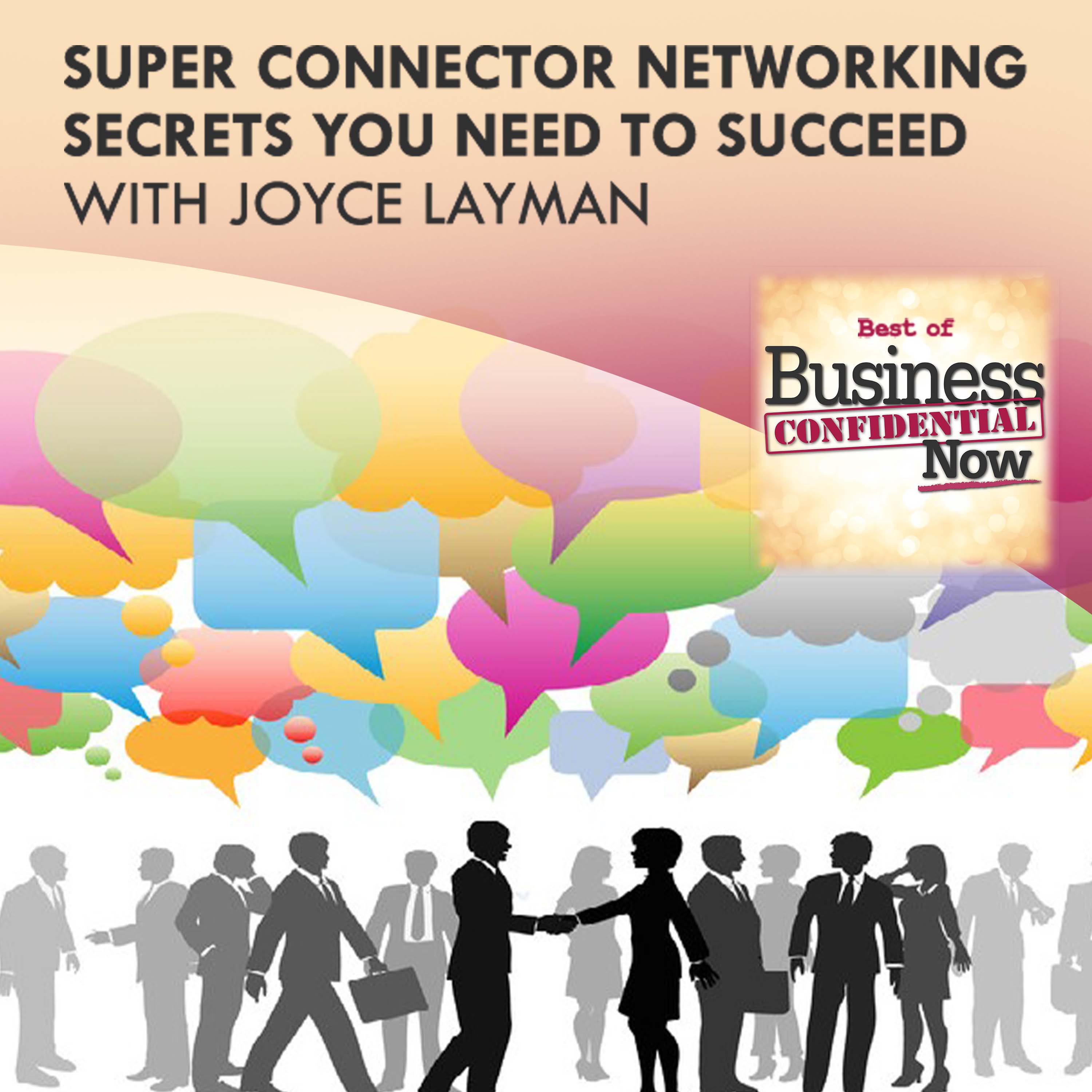 Super Connector Networking Secrets You Need To Succeed With Joyce Layman episode artwork