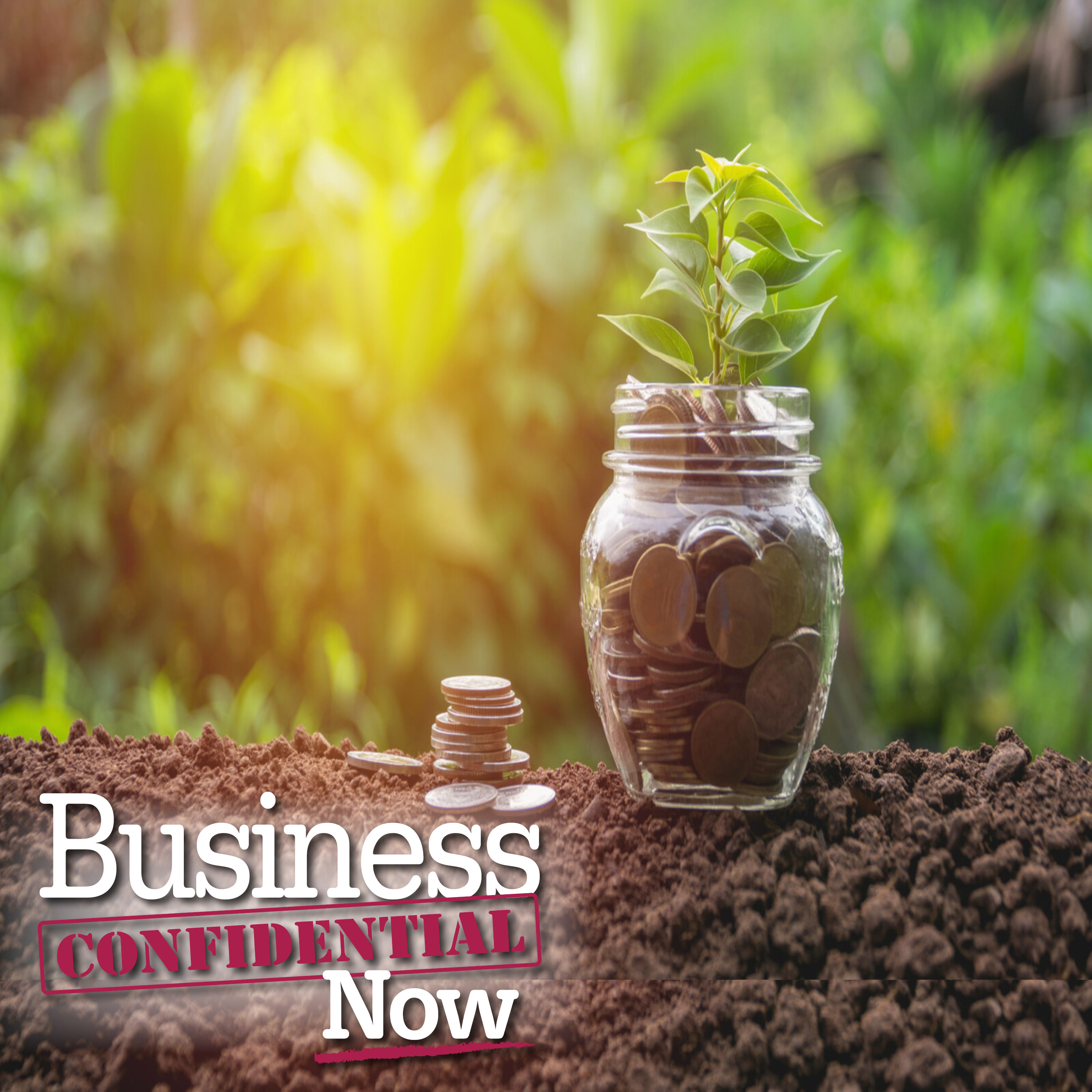 Creating Passive Income Streams for Busy Entrepreneurs to Accelerate Business Growth episode artwork