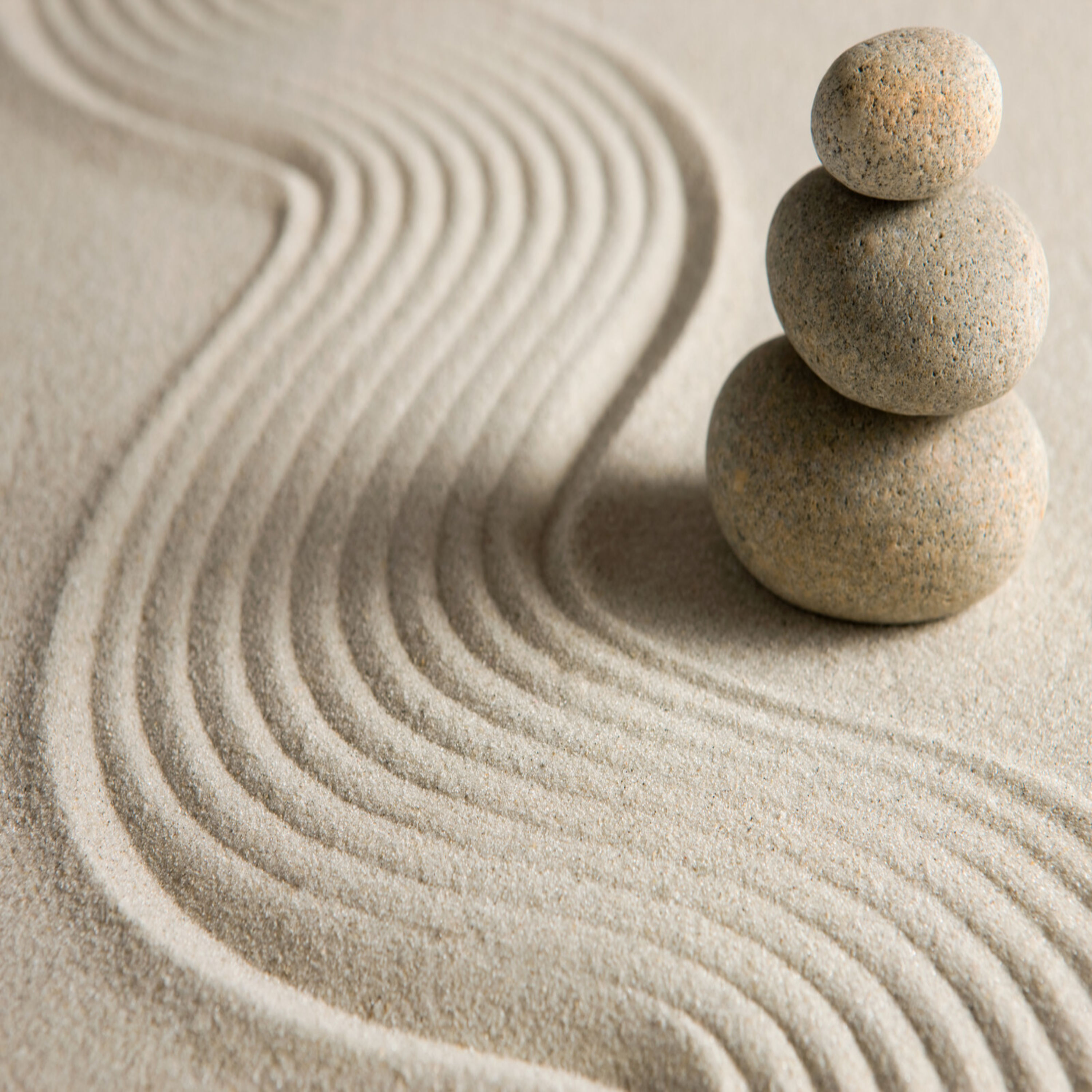 How to Use More Strategic Alignment to Reliably Grow Your Business episode artwork