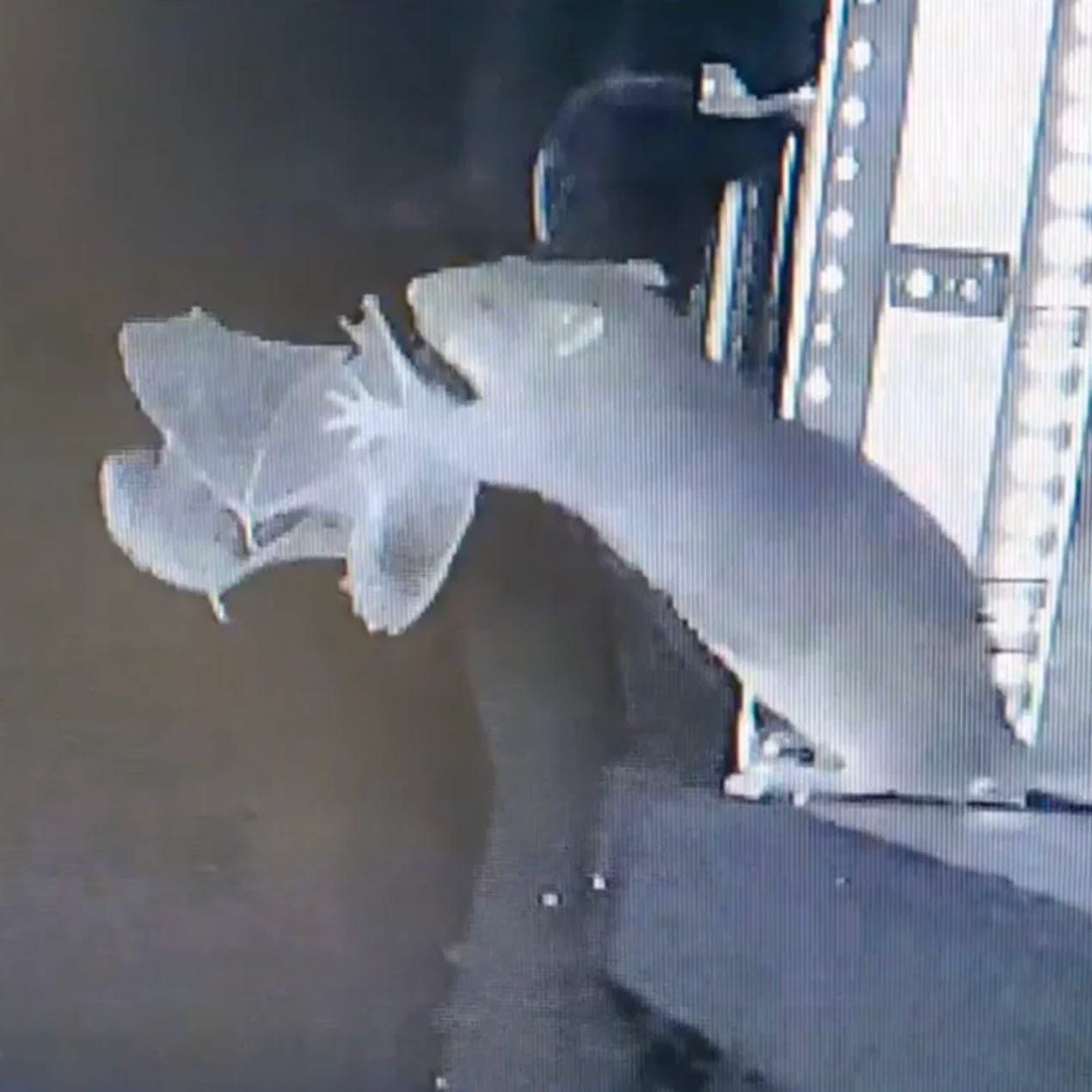 This Week in Outrage