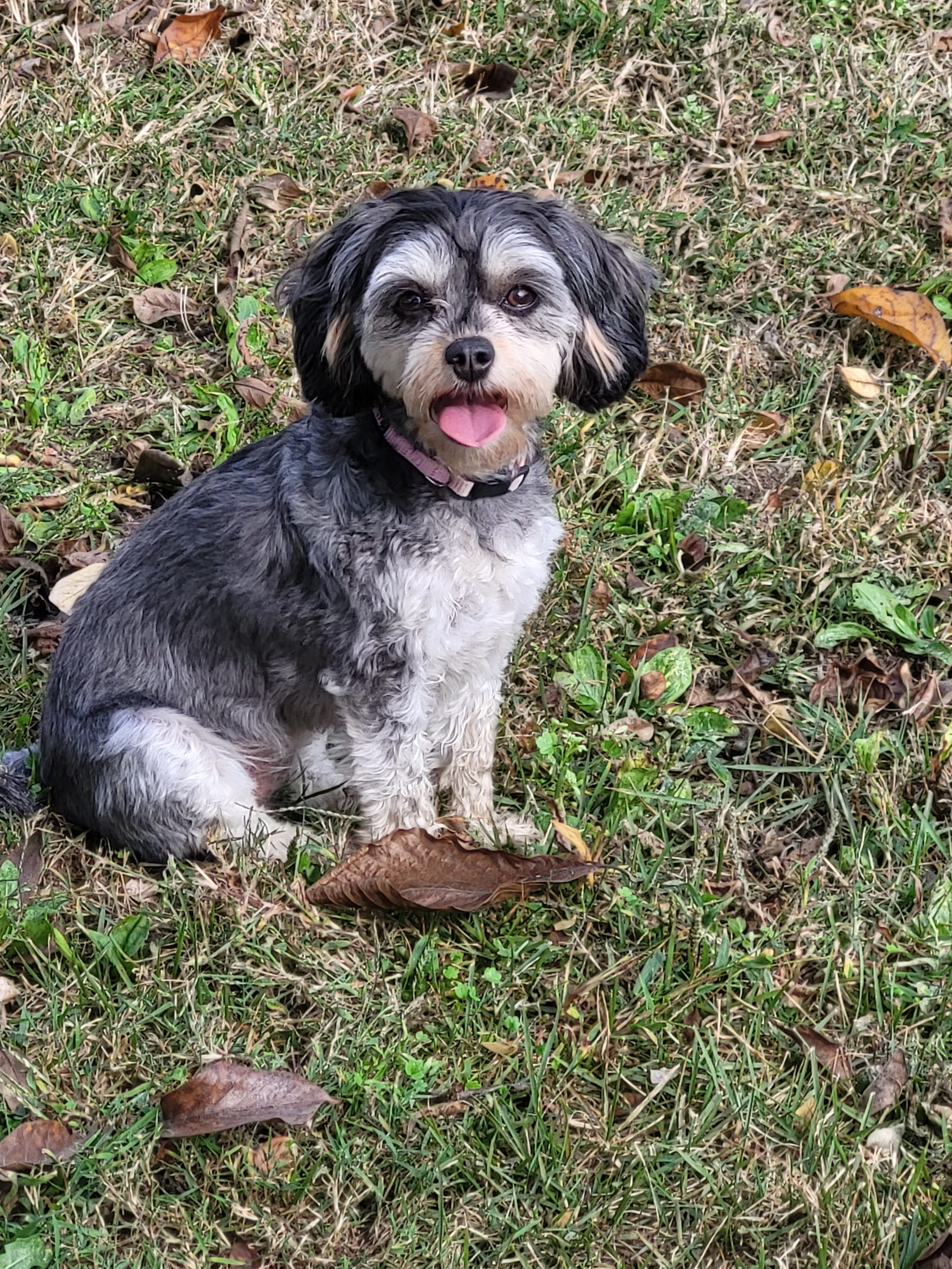 Party Pooper Podcast