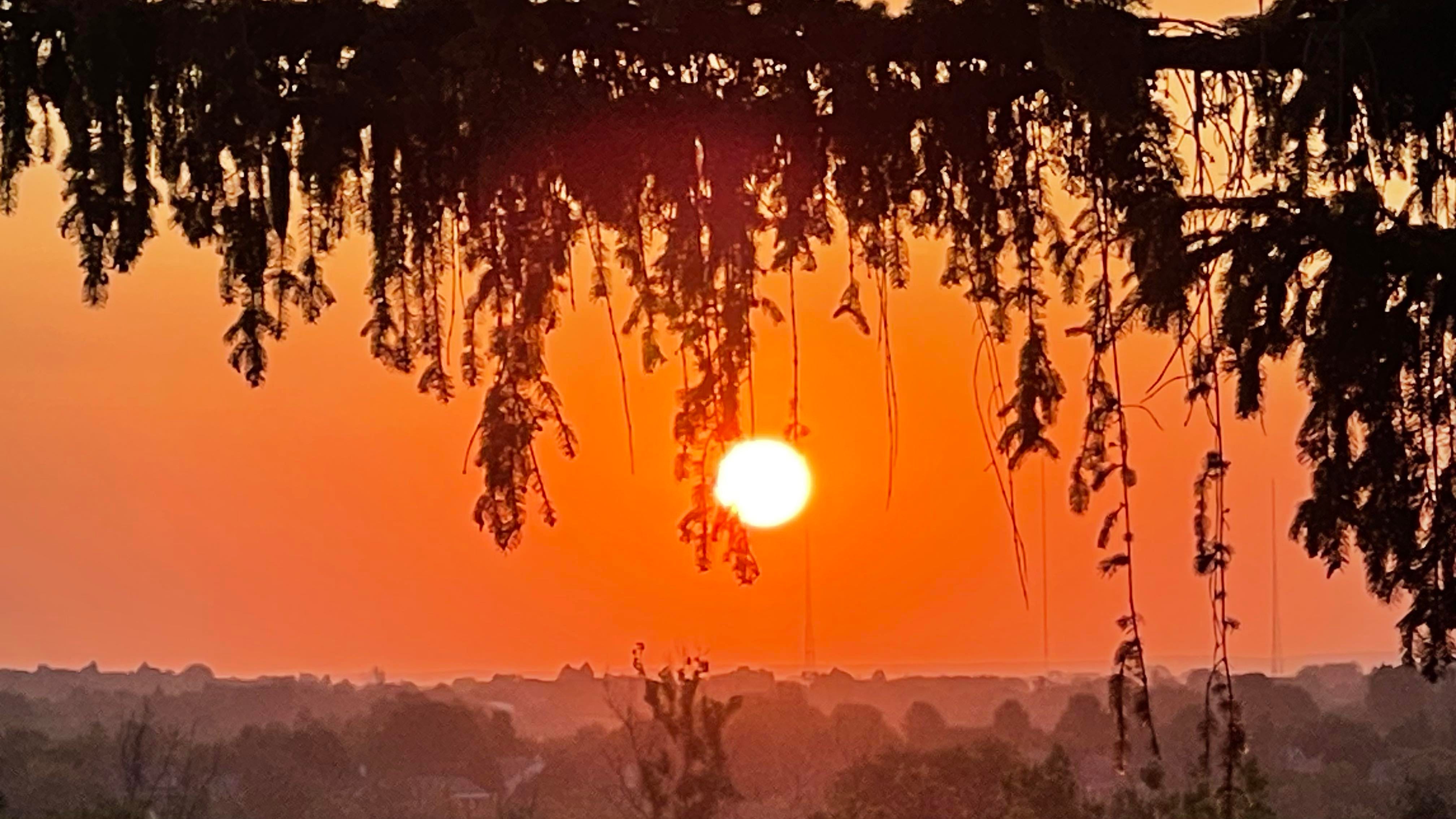 Sunrise 7/8/23 episode artwork
