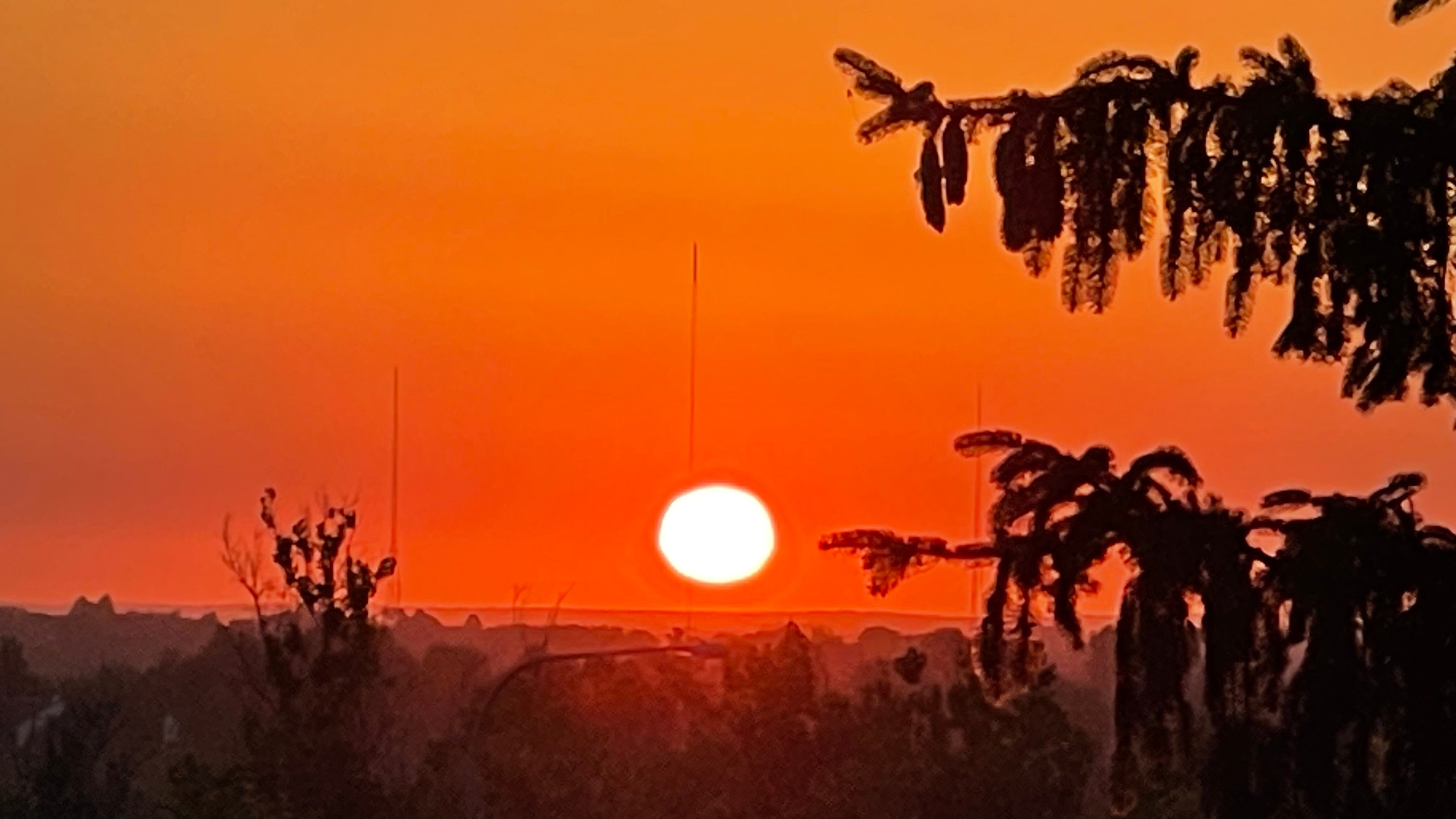 Sunrise 7/20/23 episode artwork