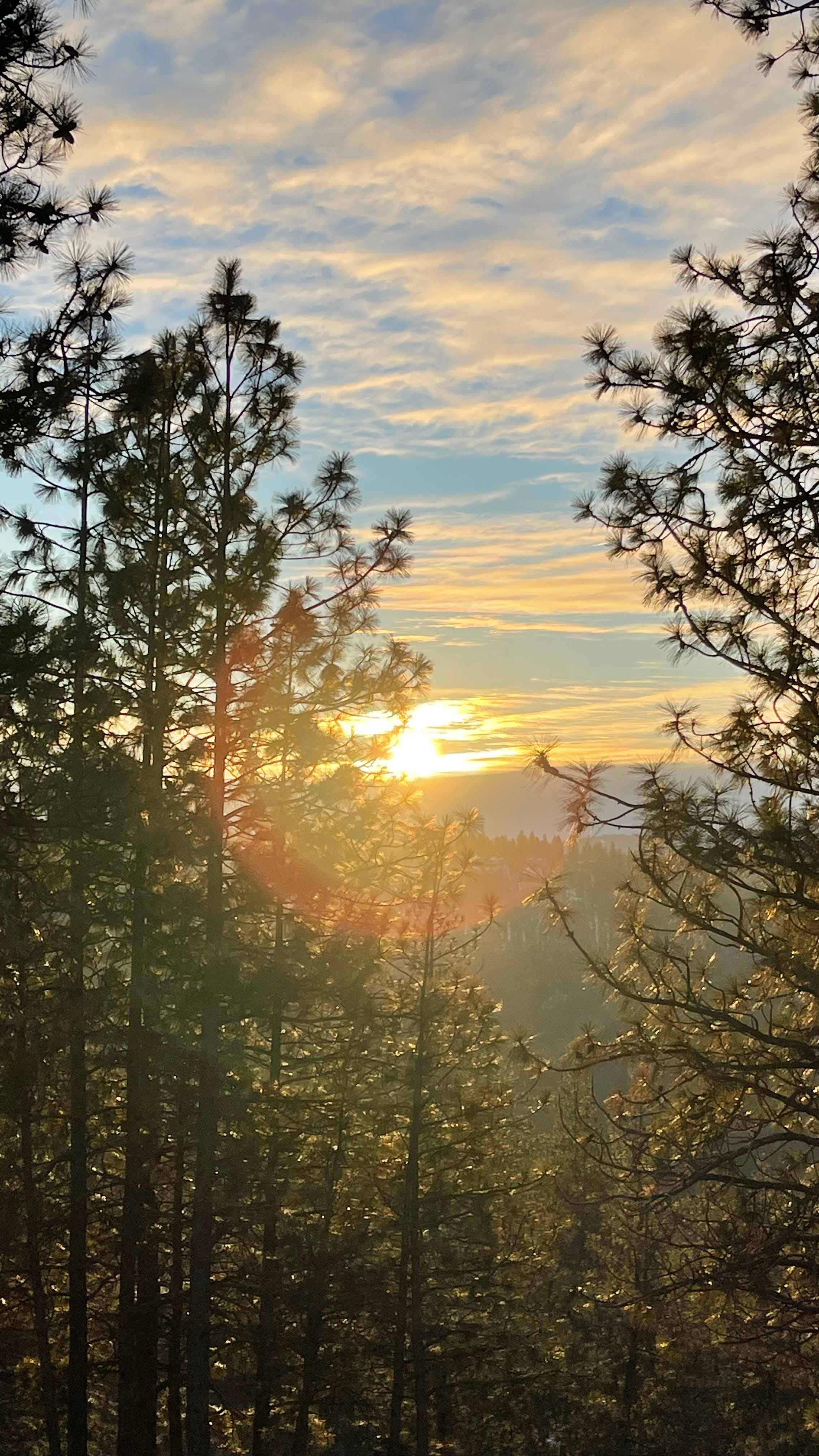 Sunrise 1/14/24 episode artwork
