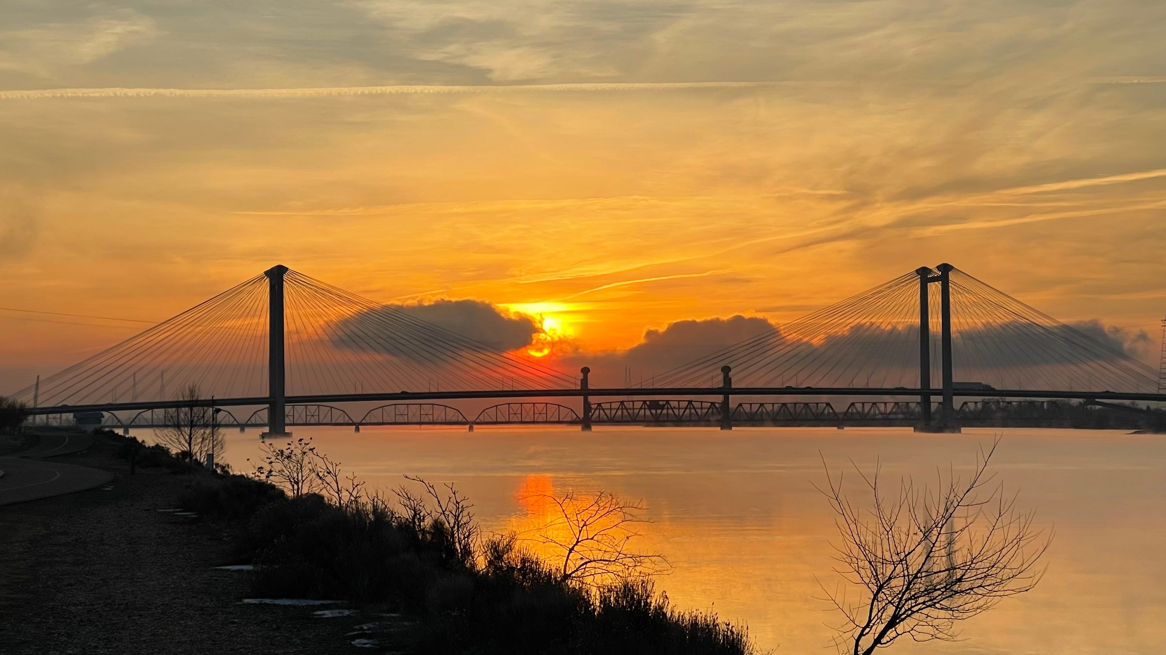 Sunrise 1/16/24 episode artwork