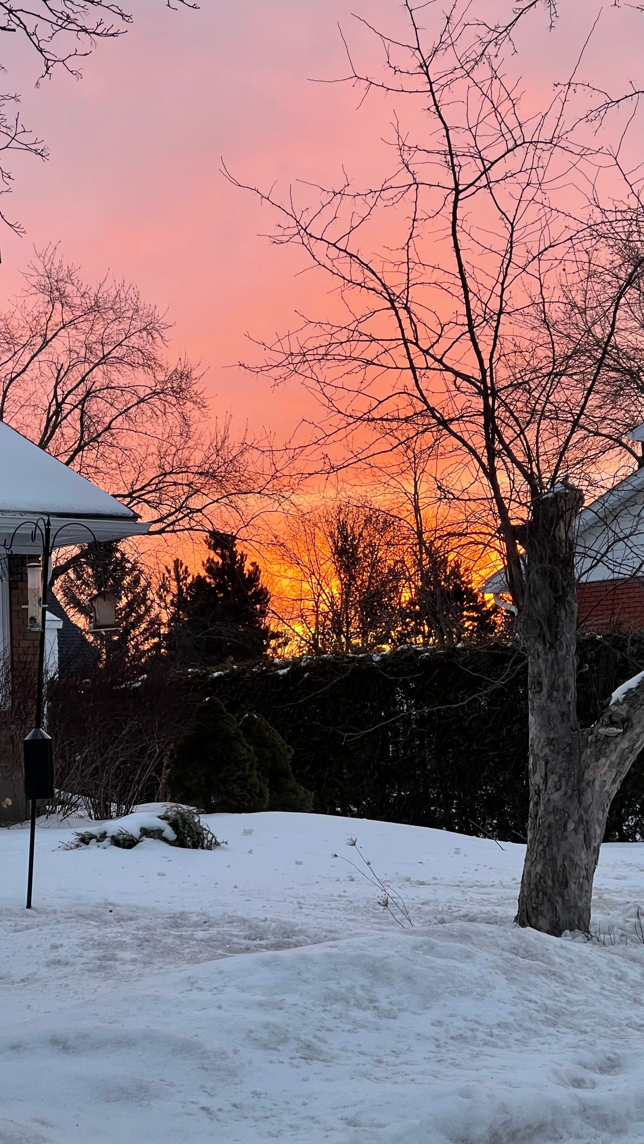 Sunrise 1/30/24 episode artwork