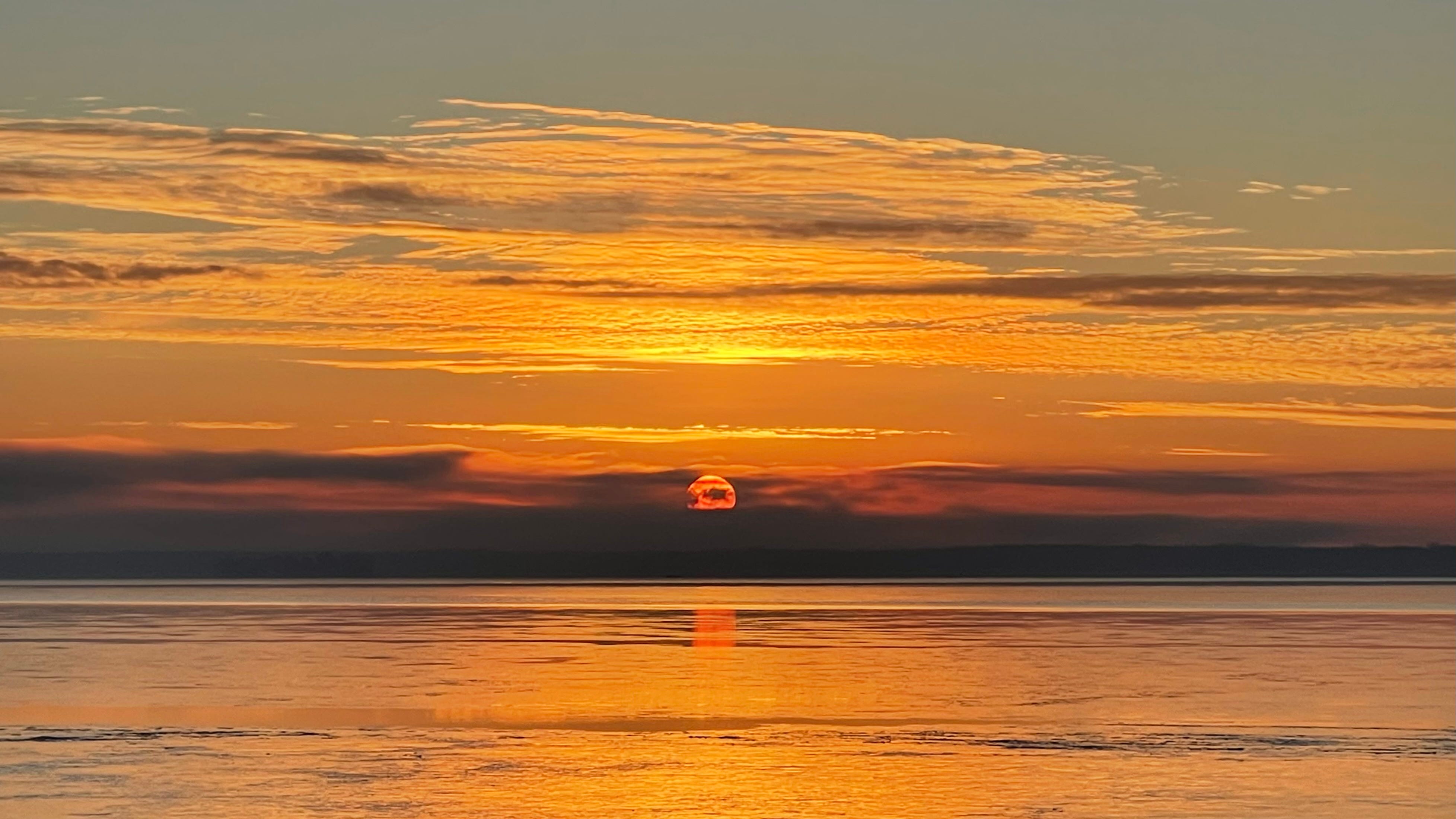 Sunrise 2/4/24 episode artwork