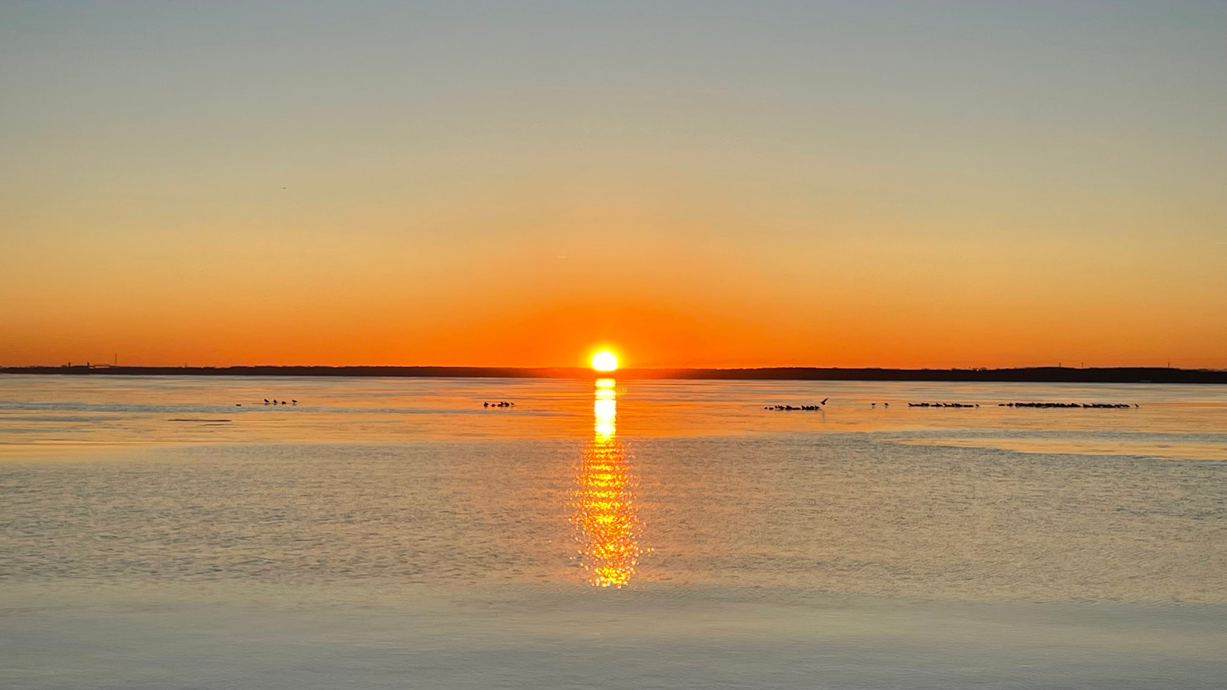 Sunrise 2/6/24 episode artwork