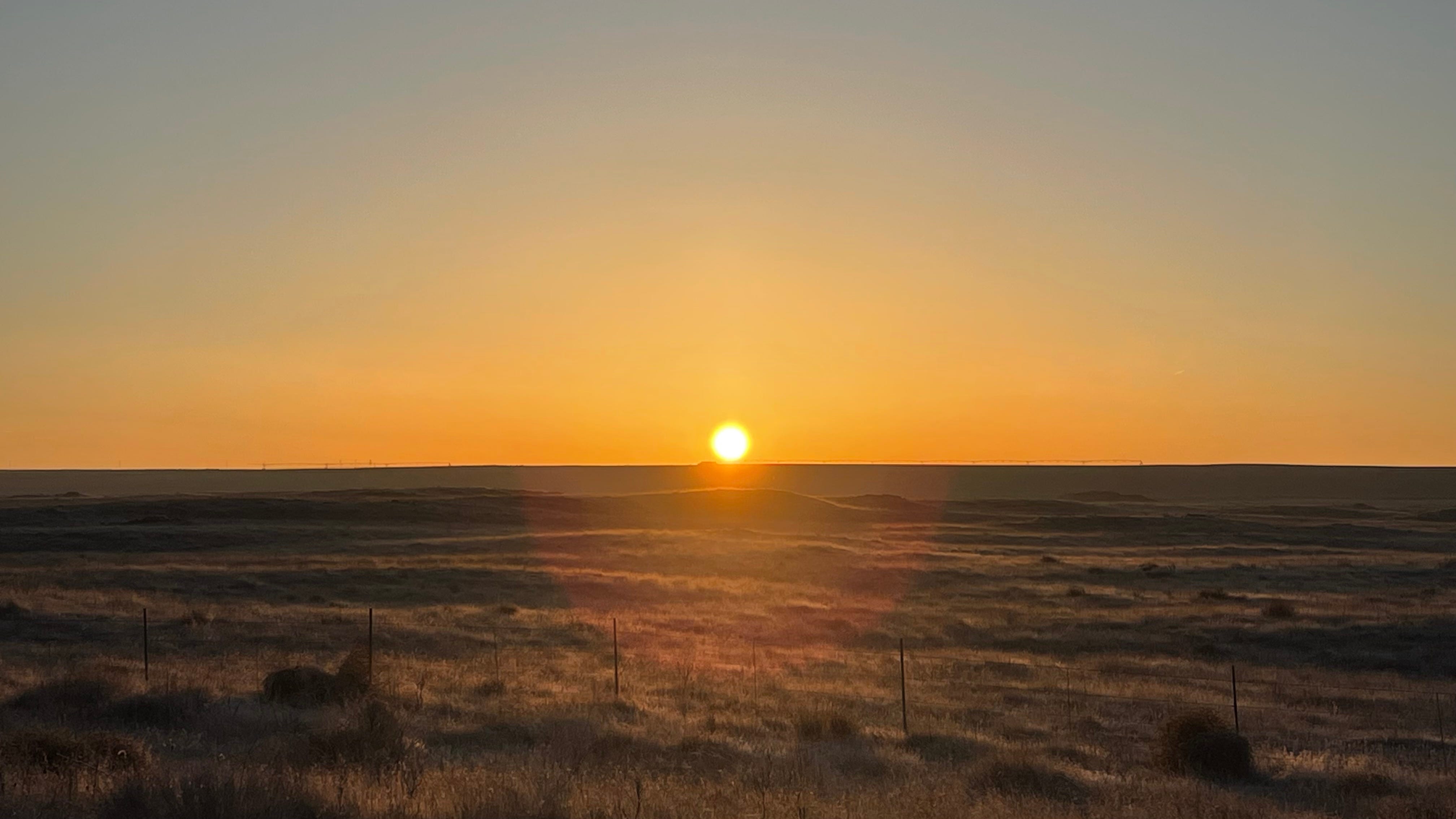 Sunrise 2/23/24 * episode artwork