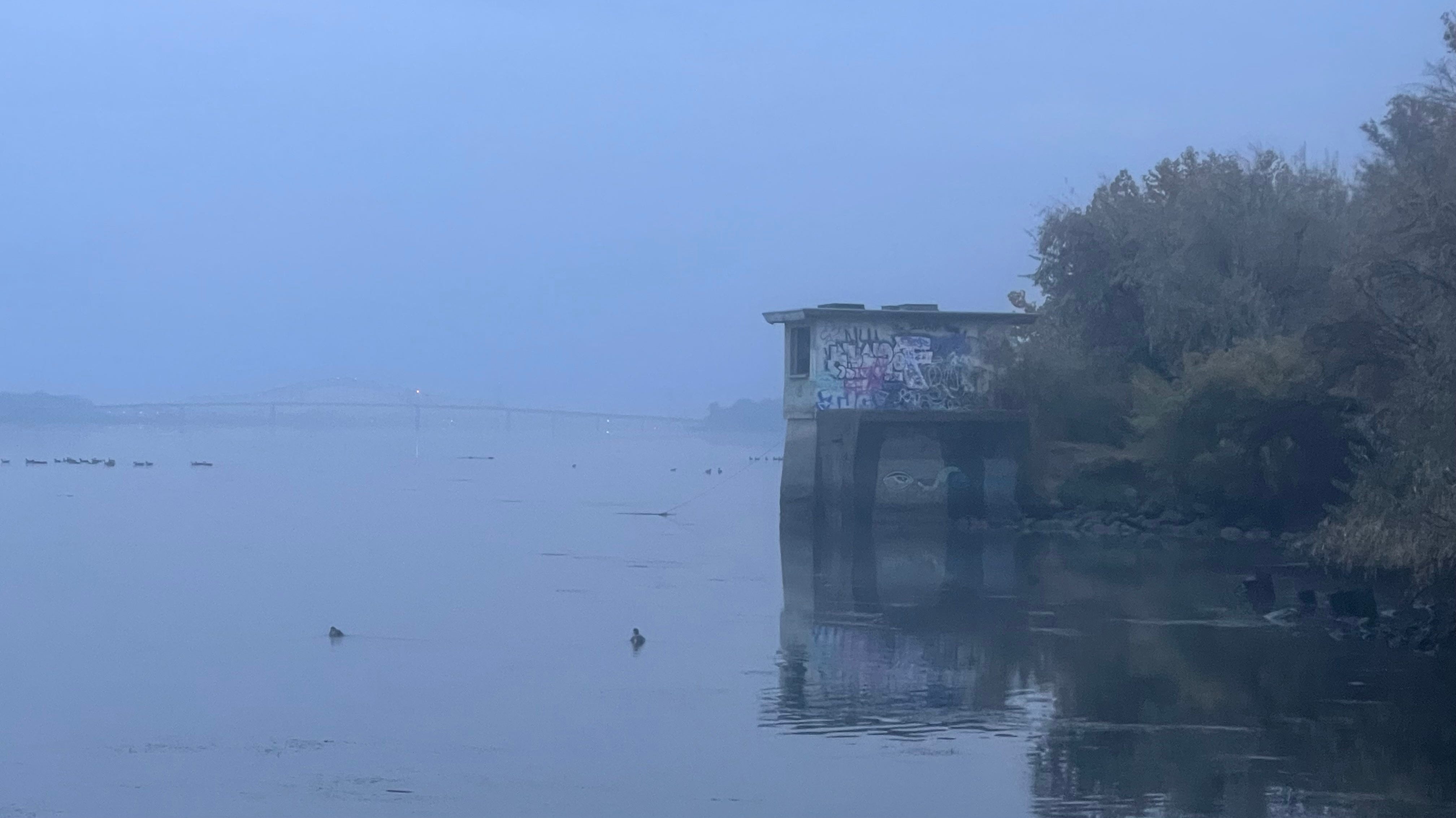 Antiphon in Fog episode artwork