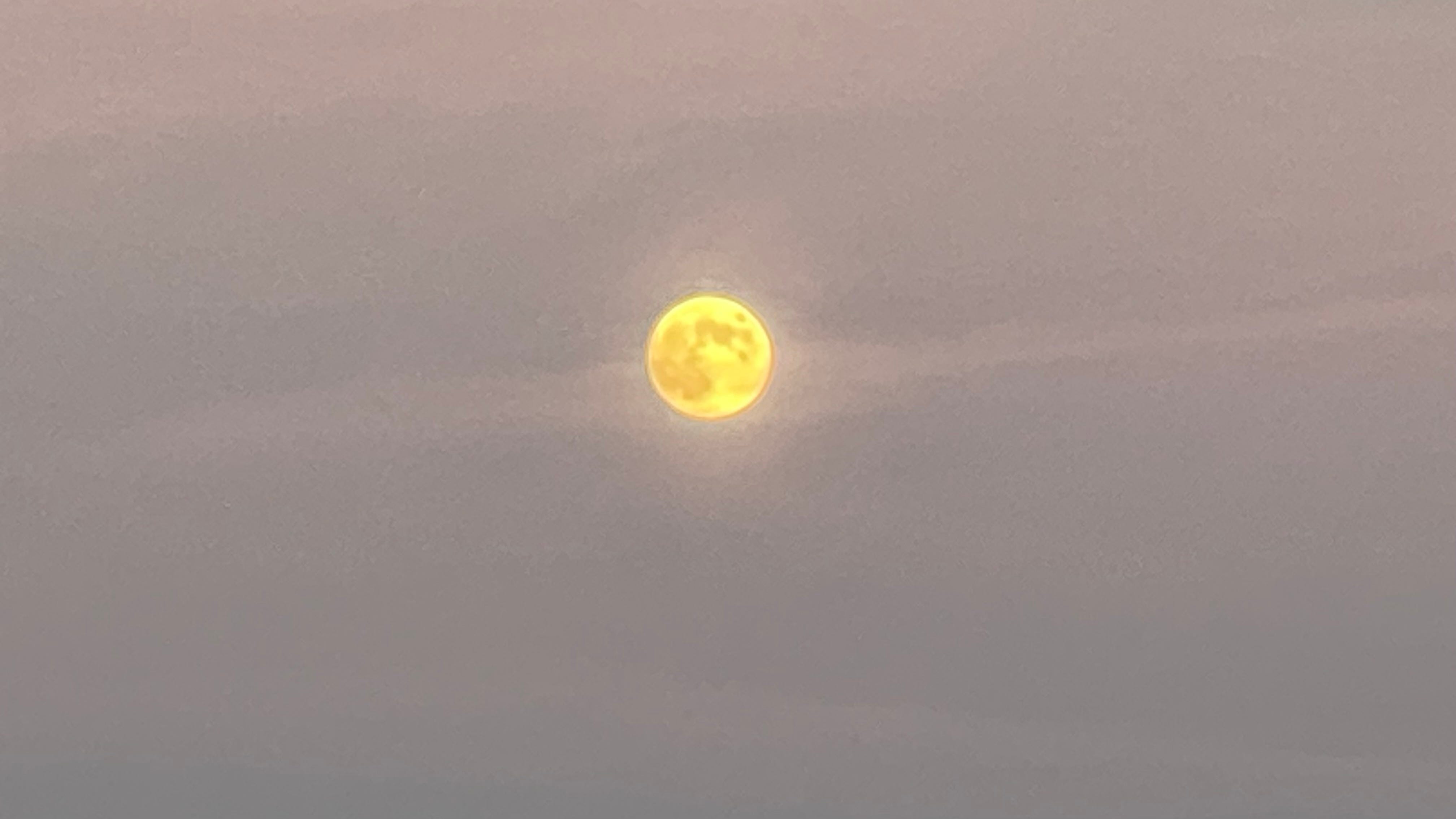 The Moon That Rose episode artwork