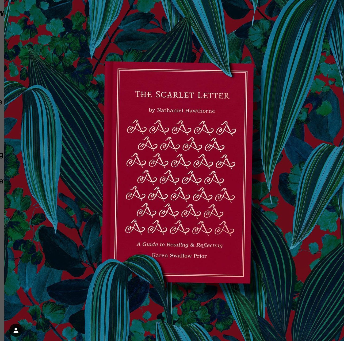 The Scarlet Letter: Customs House - Chapter 3