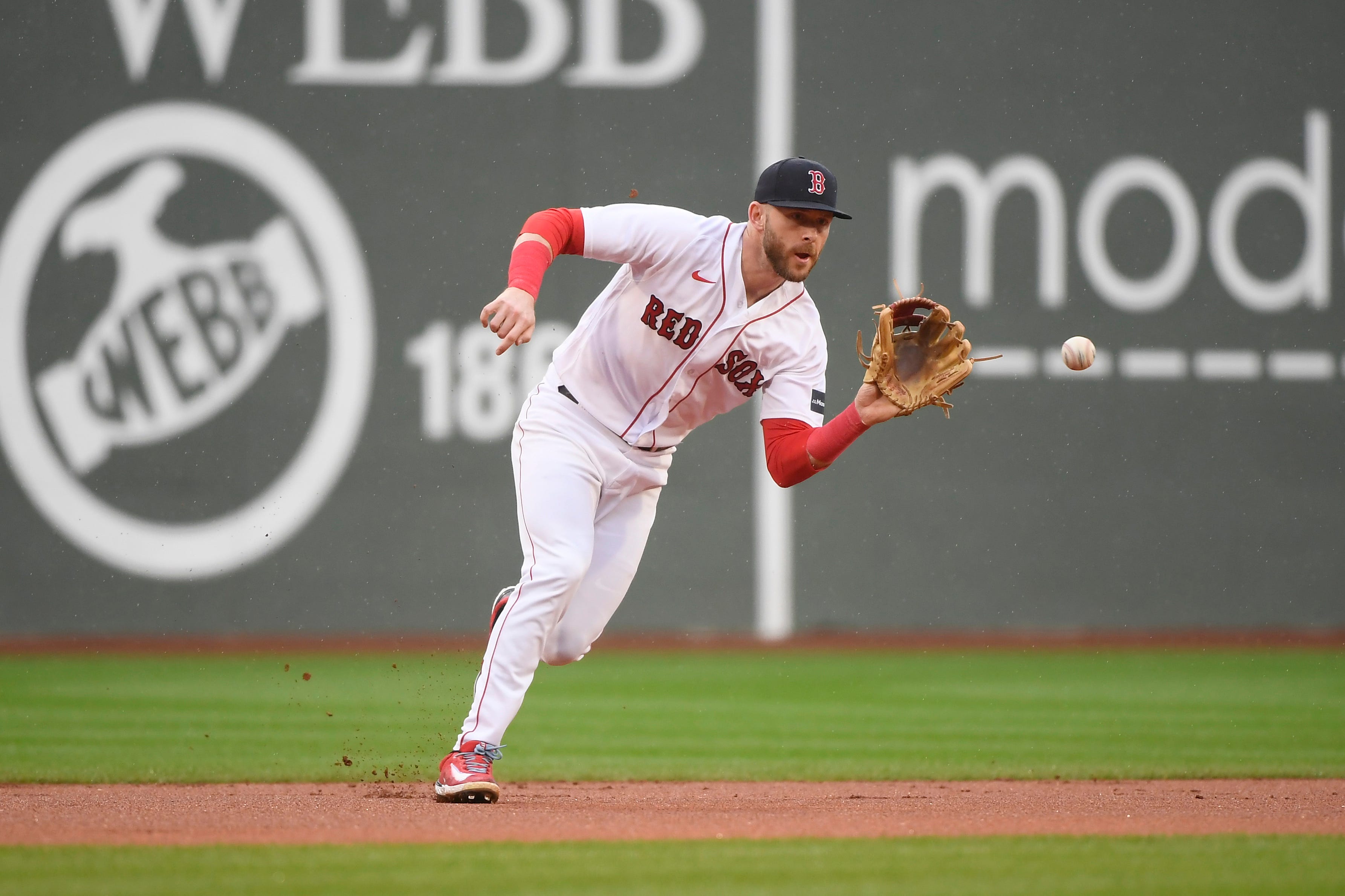 The Andrew Steele Podcast