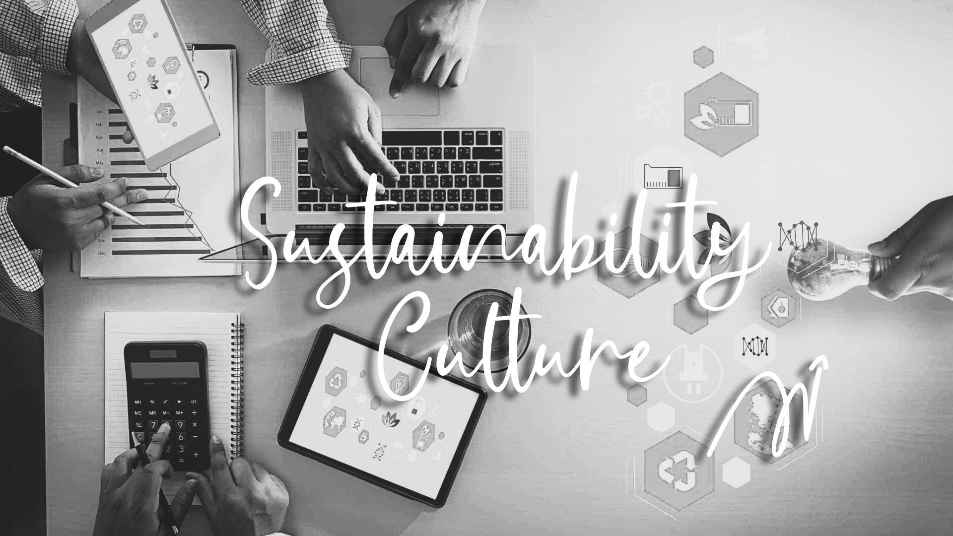 Building a Sustainably Focused Culture for Your Organization
