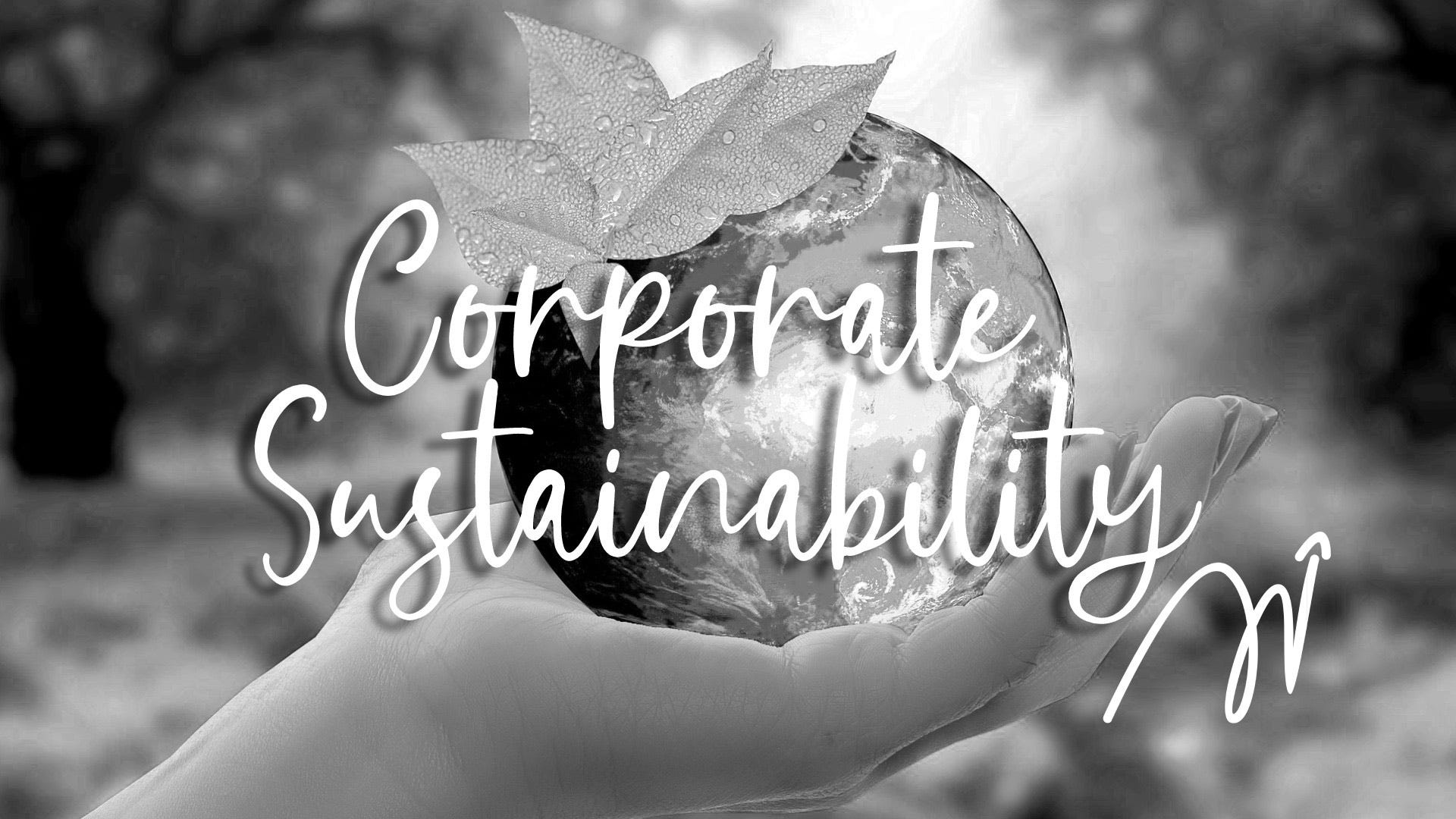 How Managers Can Overcome Corporate Sustainability Challenges