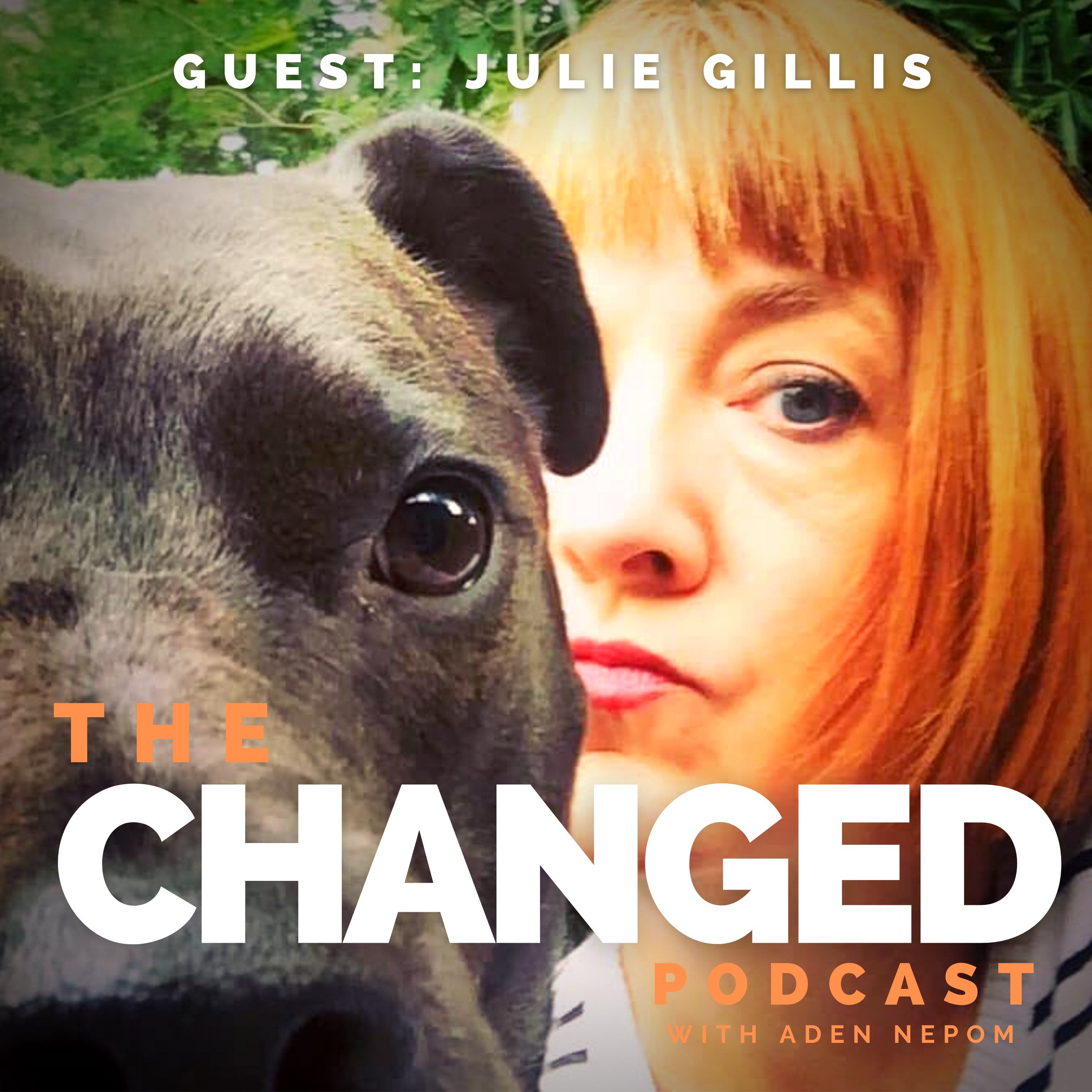 Might You Be As Julie Gillis Suggests, a Supporting Character in Someone Else’s Story? Episode 40