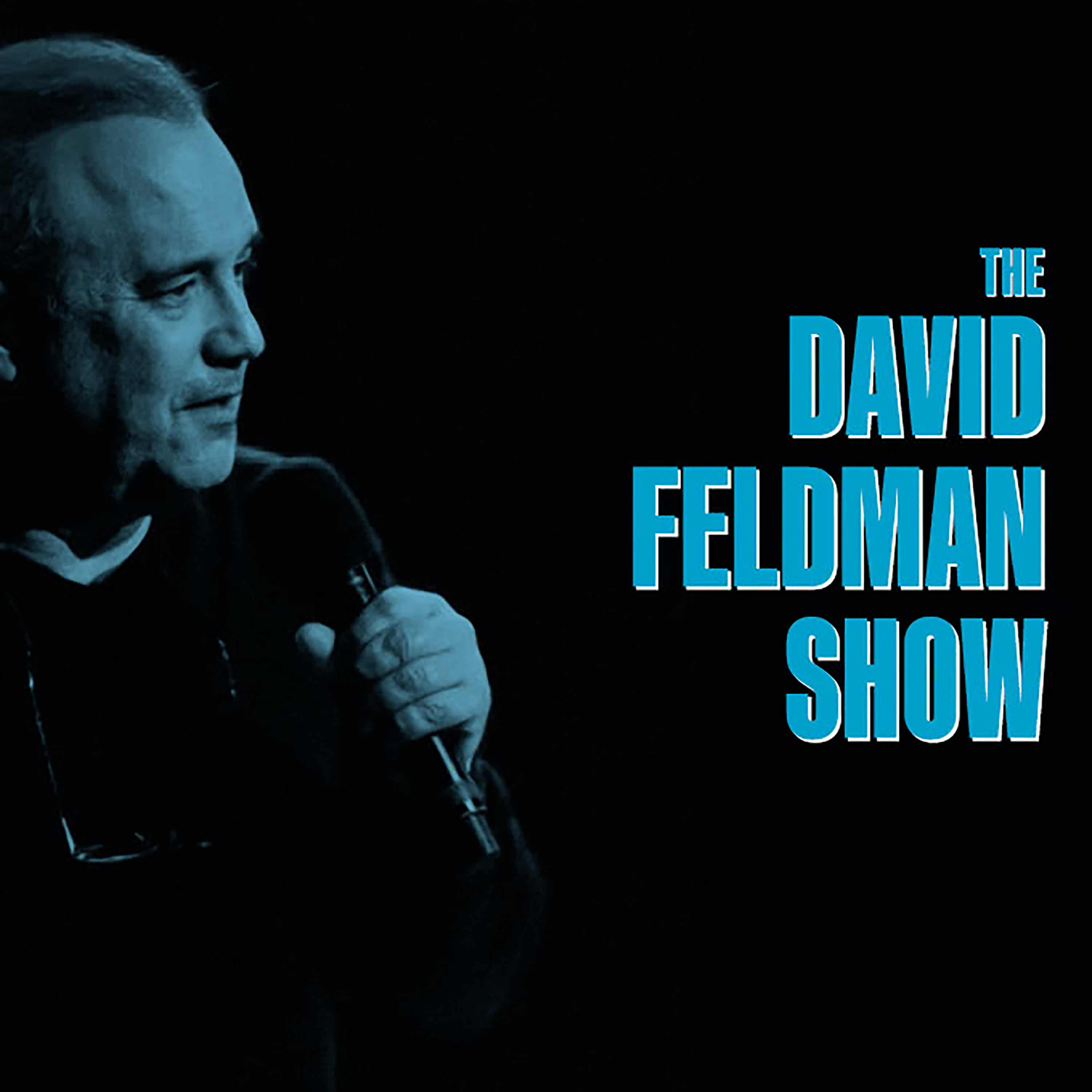 David Feldman Show Highlights cover art