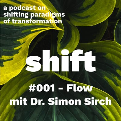 #1 - Flow mit Dr. Simon Sirch