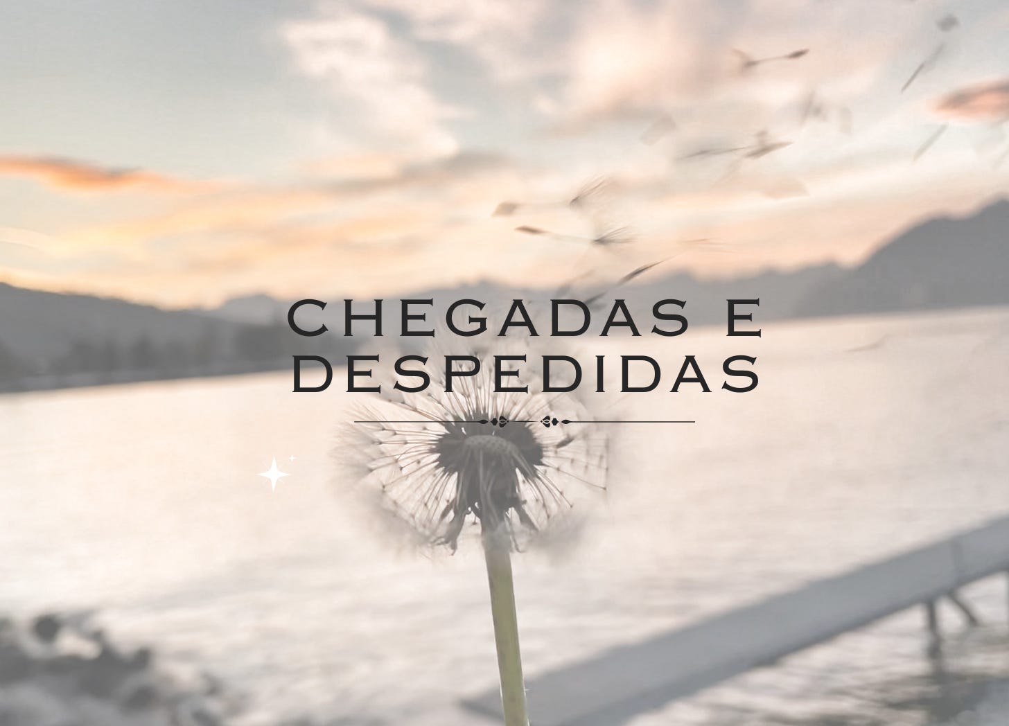 Chegadas e Despedidas
