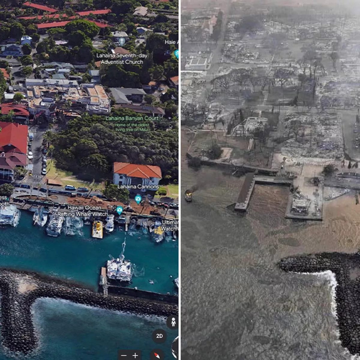 The Week in Policymaker Ignorance