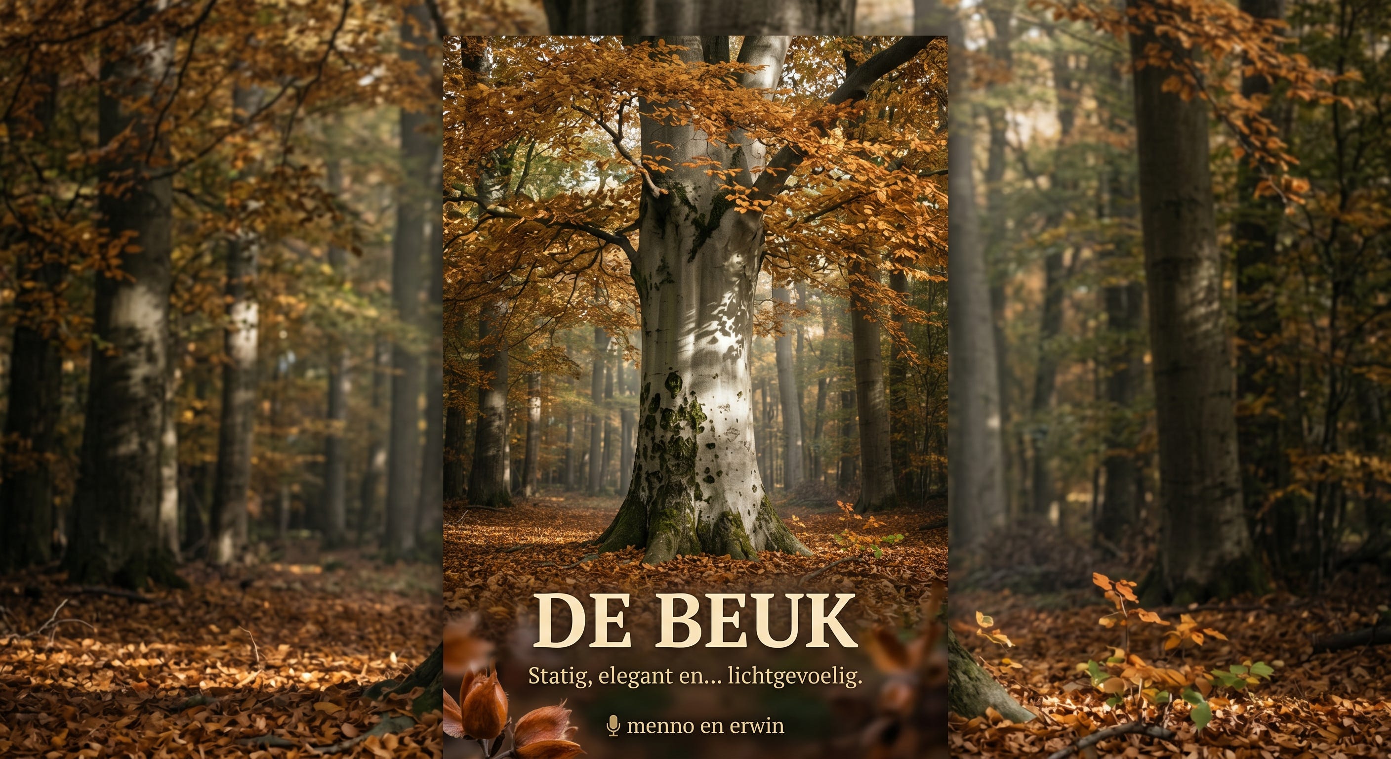 🎧 #222 De beuk: statig en elegant, maar wat lichtgevoelig