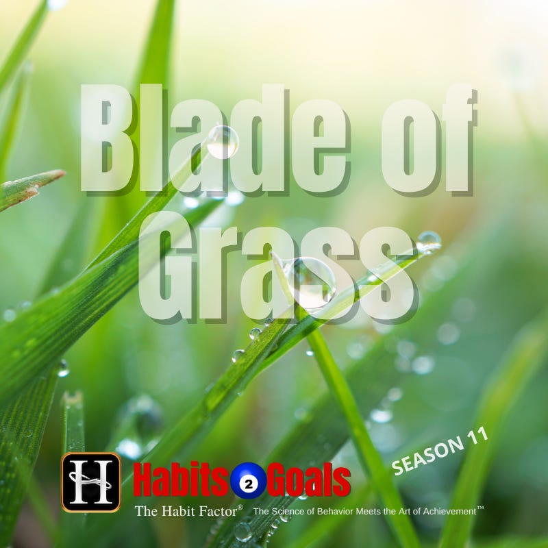 A Blade of Grass