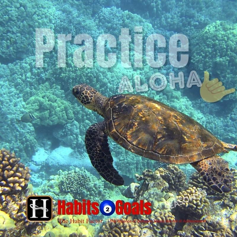 Practice Aloha