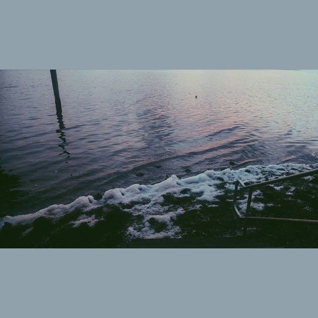 The Living World