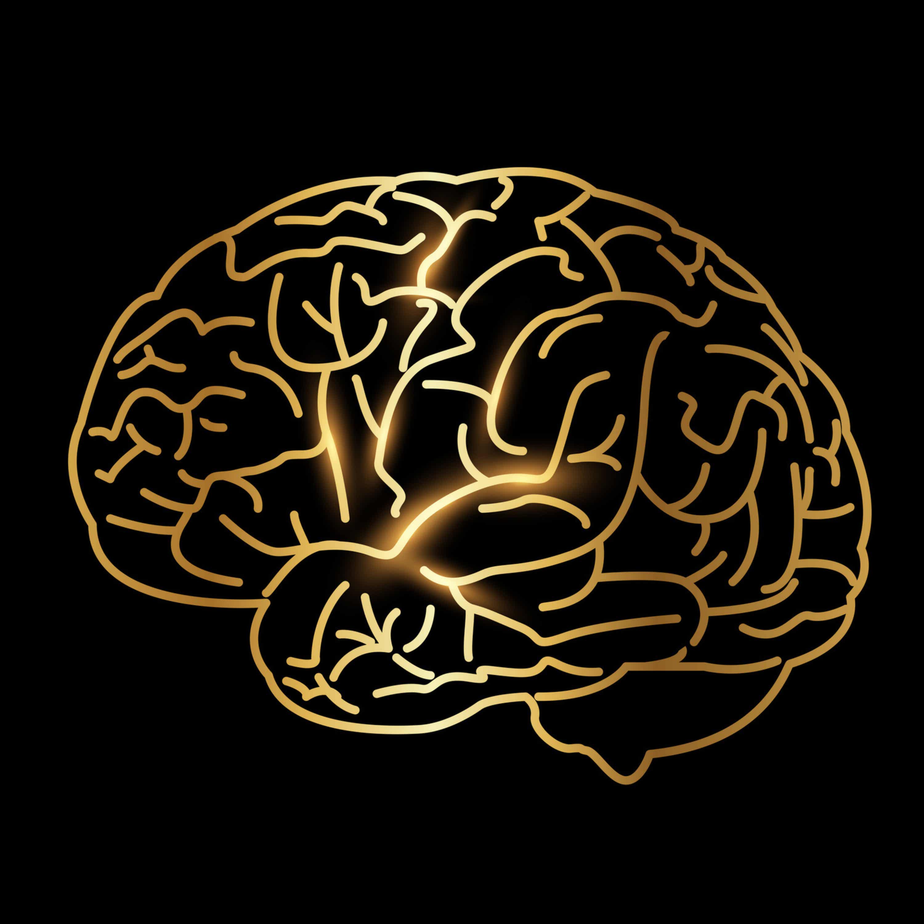 Mental Capital