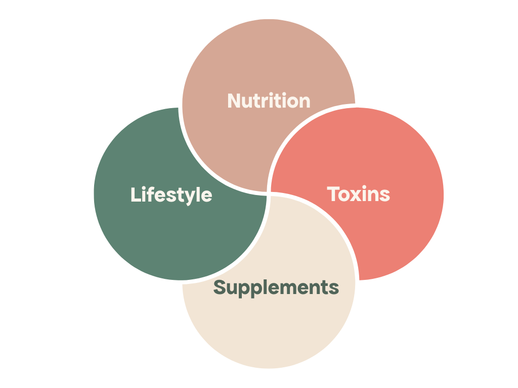 PCOS and Fertility: Preparing your body for pregnancy PCOS and Fertility: Preparing your body for pregnancy