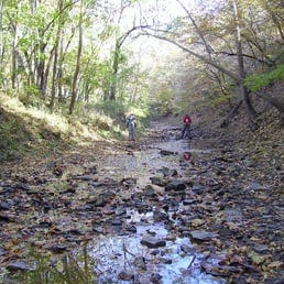 Distractions in Trail Running episode artwork