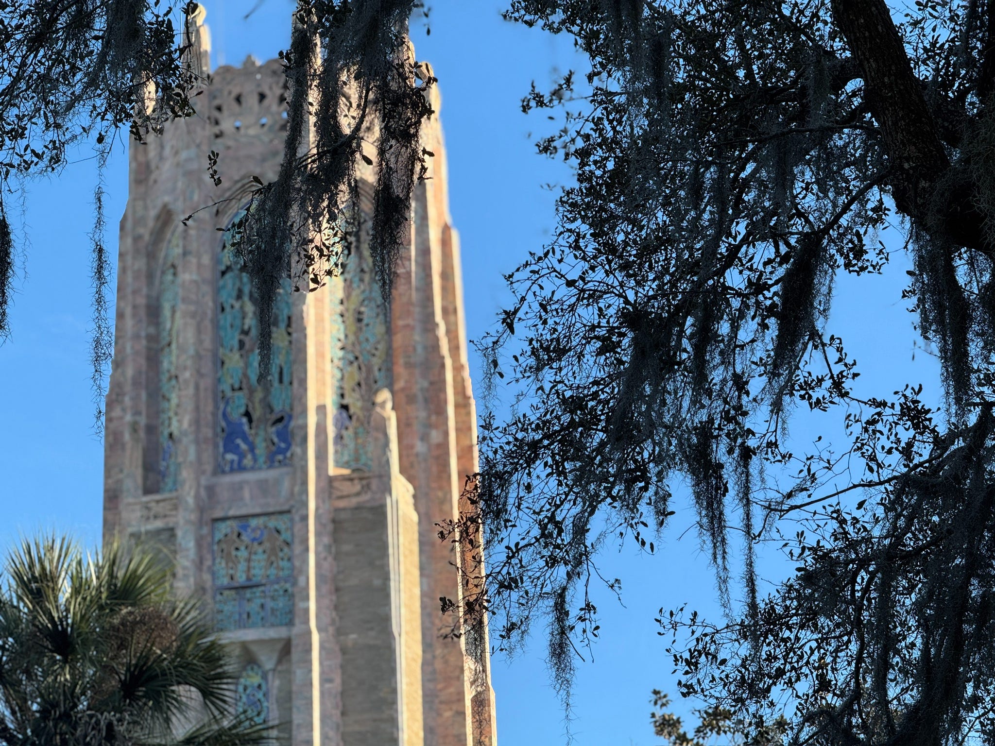 Bok Tower & Babson Park: A Florida Homecoming in Memory, Music, and Place episode artwork