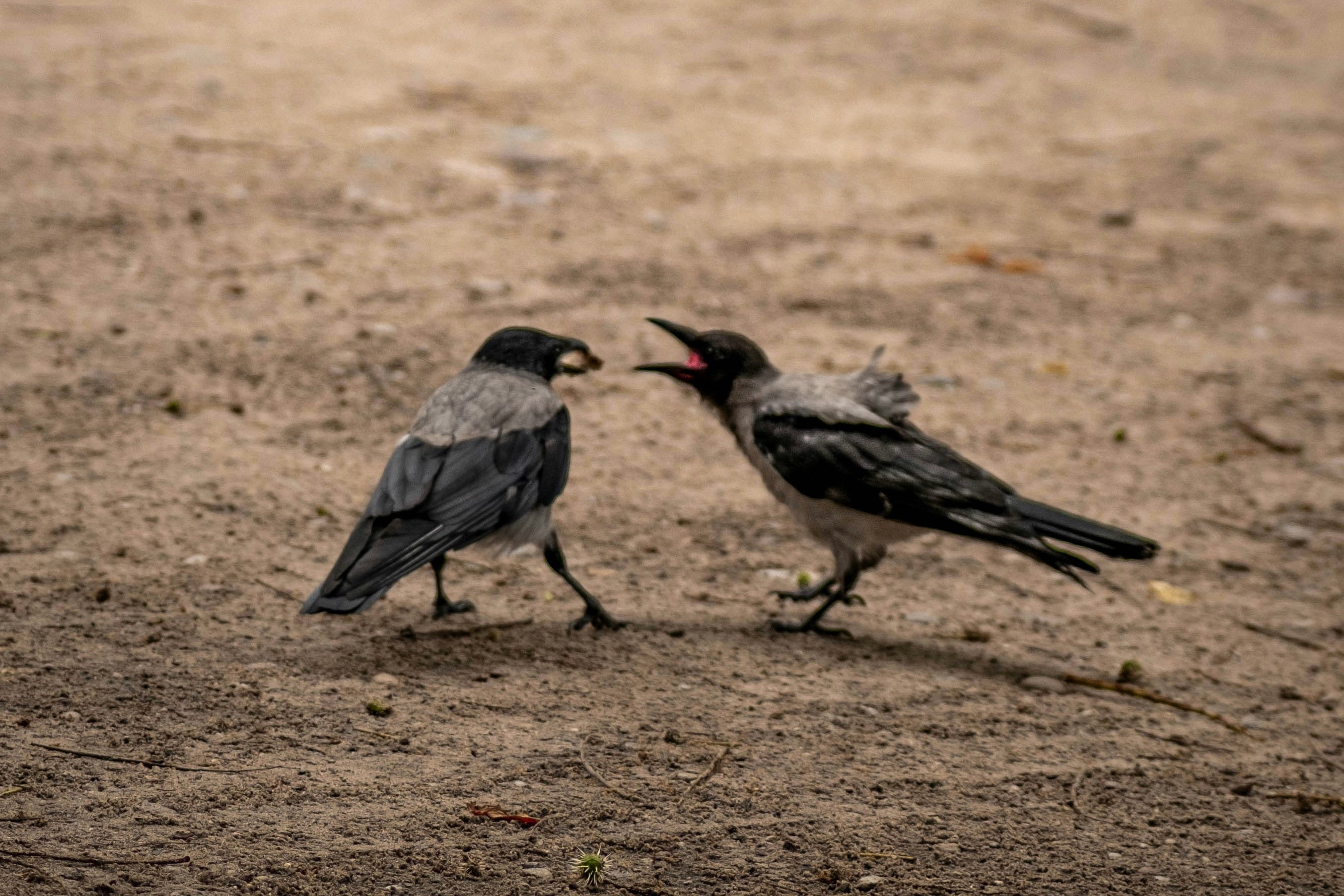 There IS Common Ground Between Believers and Unbelievers