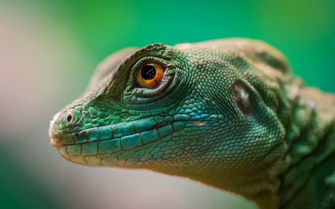 Natural Selection Only Explains a Fraction of Biological Adaptation
