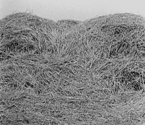 Needles in Haystacks: The Lostwave Story
