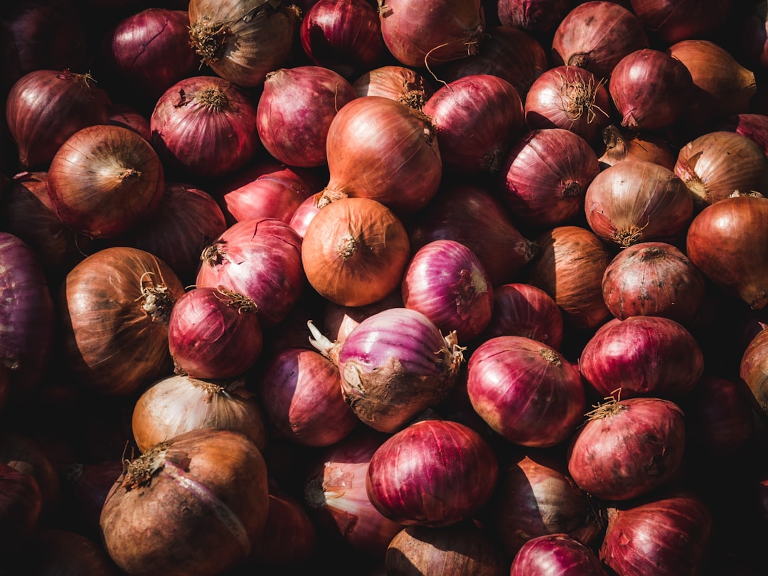 Food in Shakespeare: I want to eat like common people