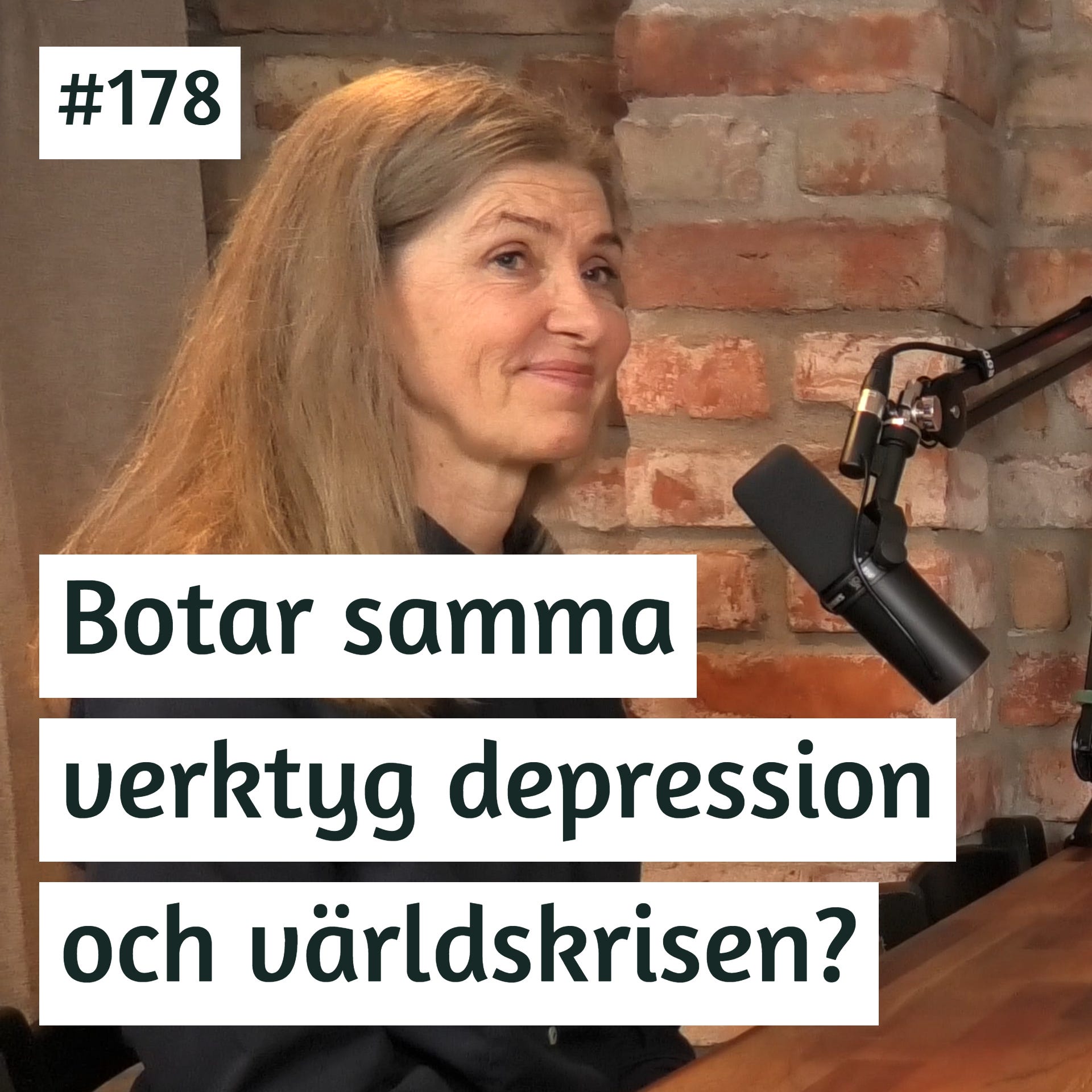 Botar vi depression och världskrisen med samma verktyg? | Eva Henje | #178 episode artwork