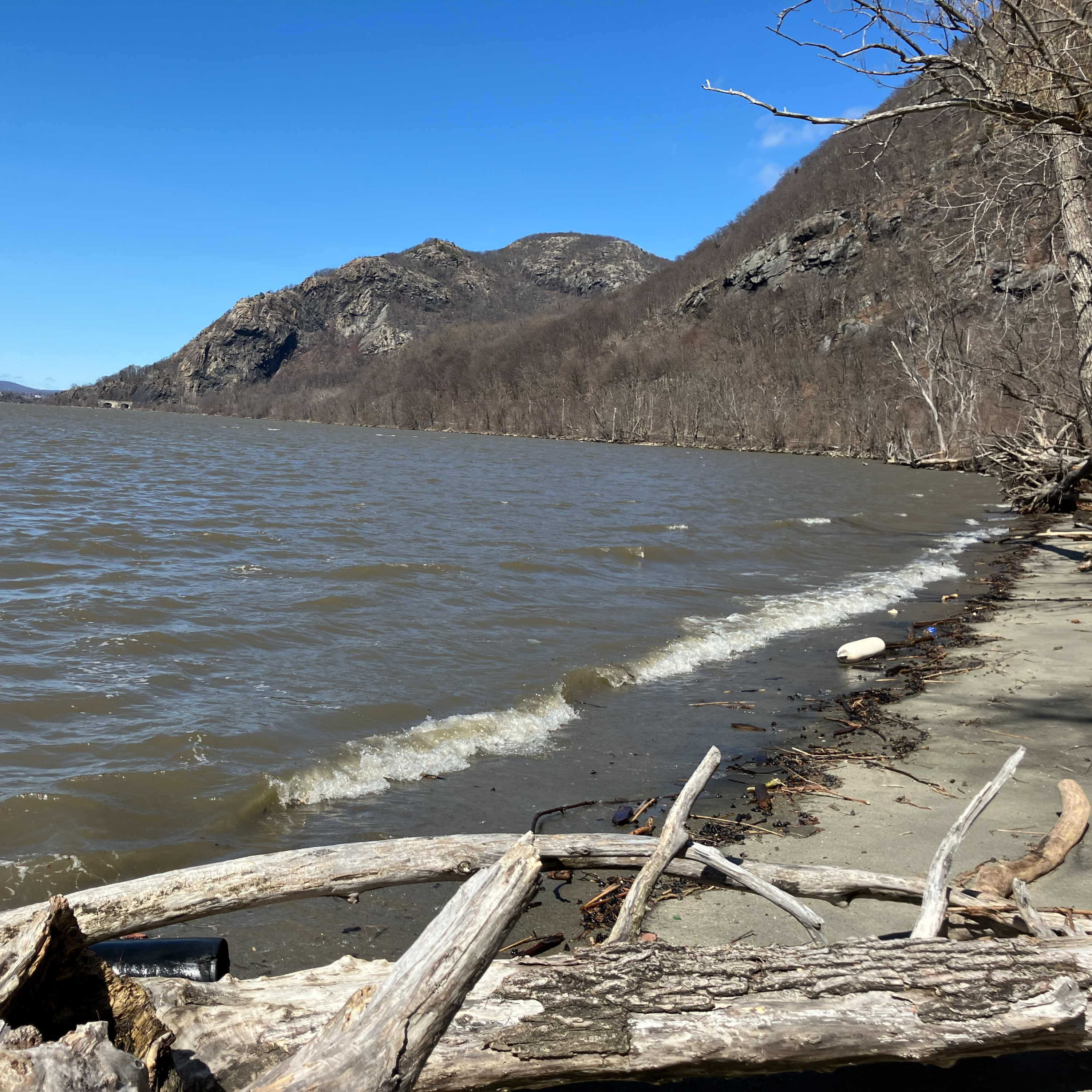 “Building a New Earth Church” by Michael Gold