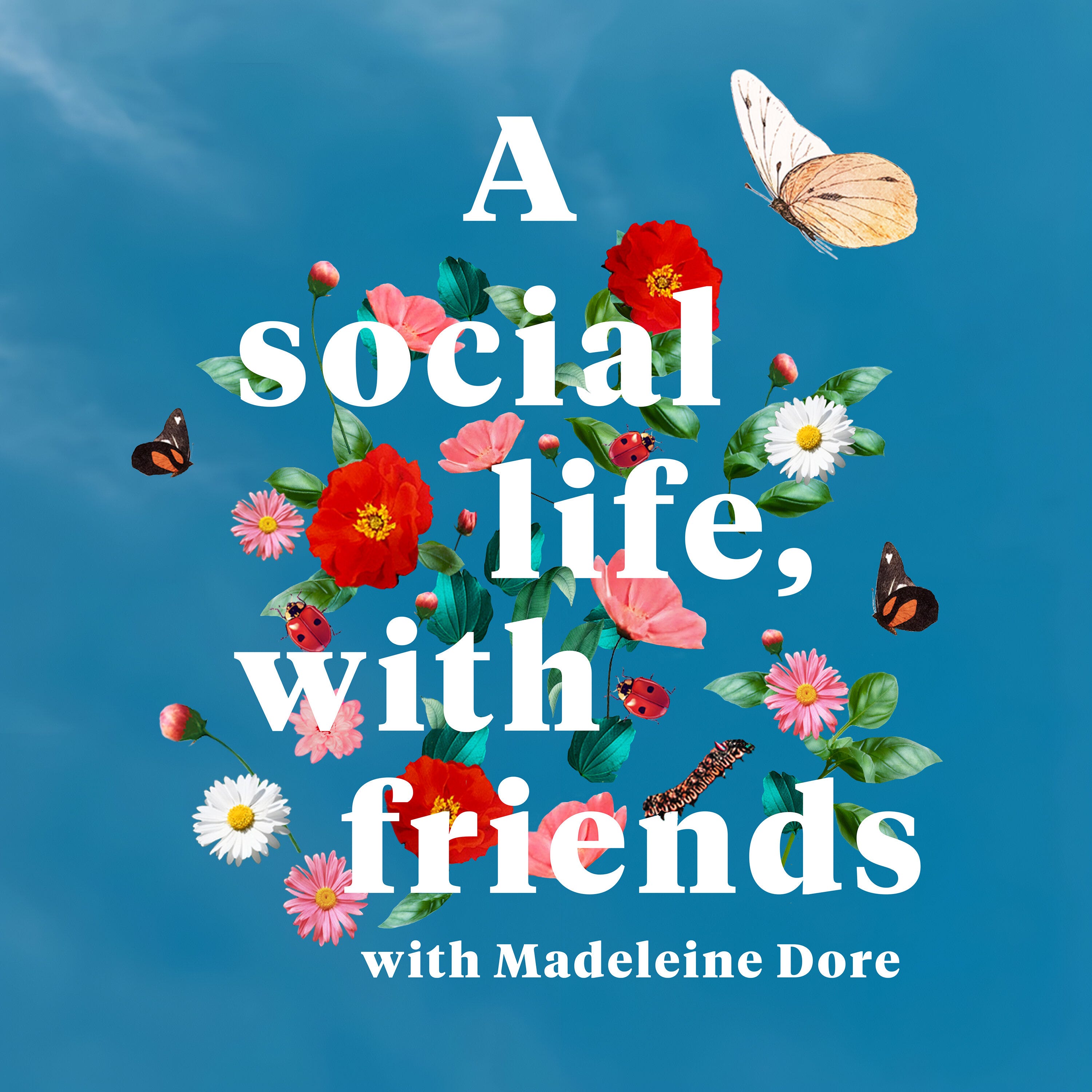 Introducing: A social life, with friends