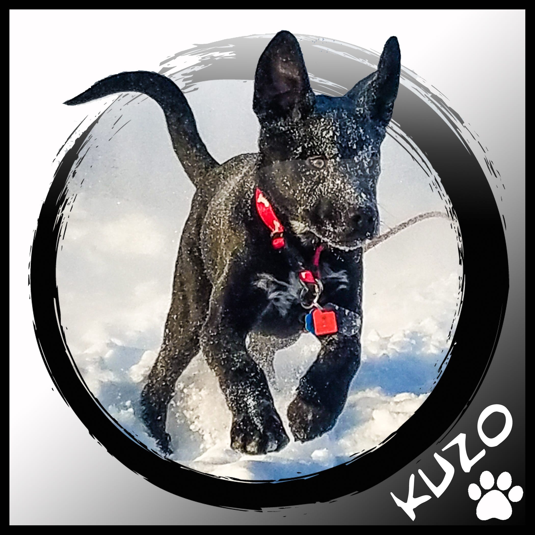 Walter Rhein Podcast